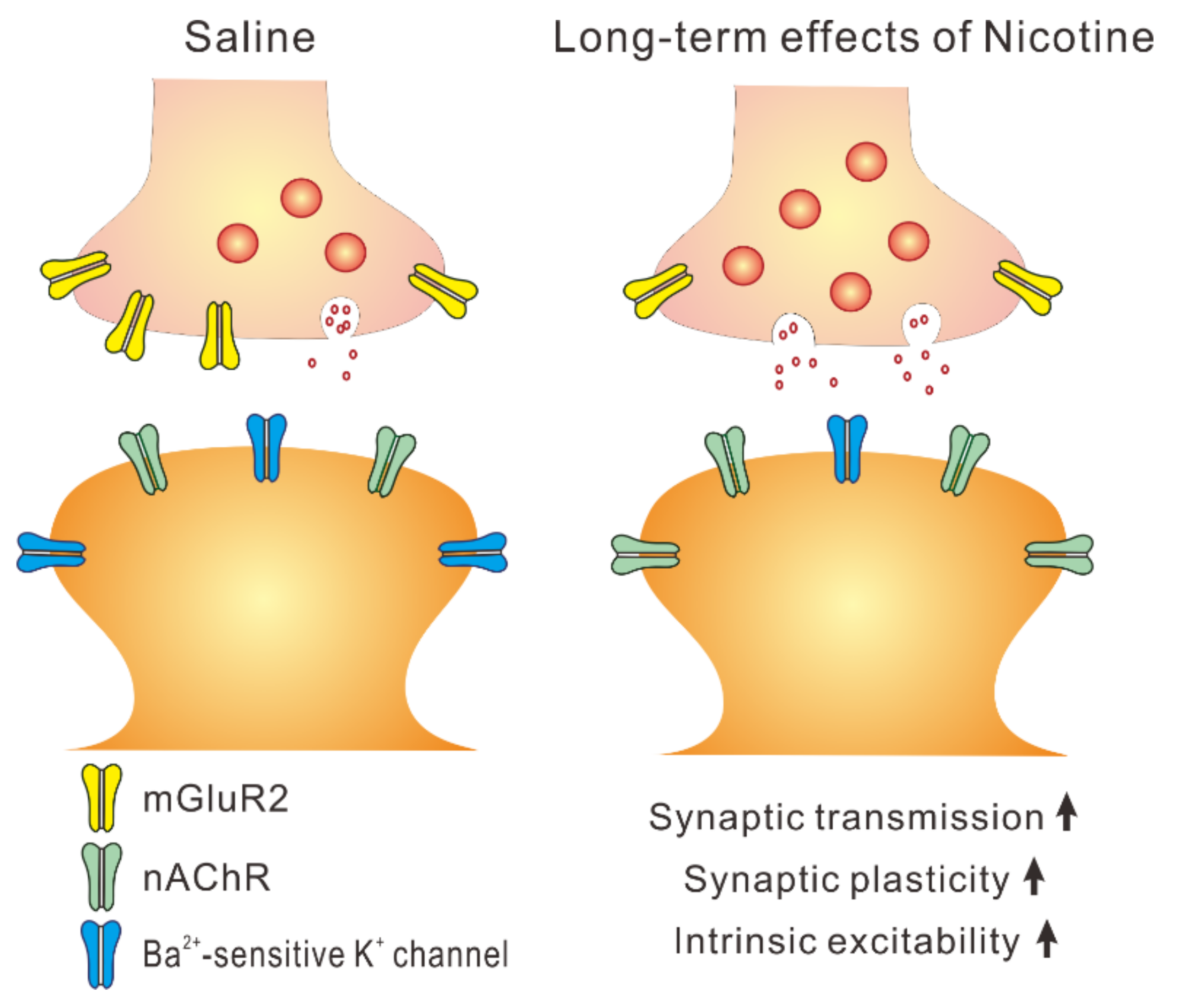 Ijms 23 00034 g007 Ijms 23 00034 g007