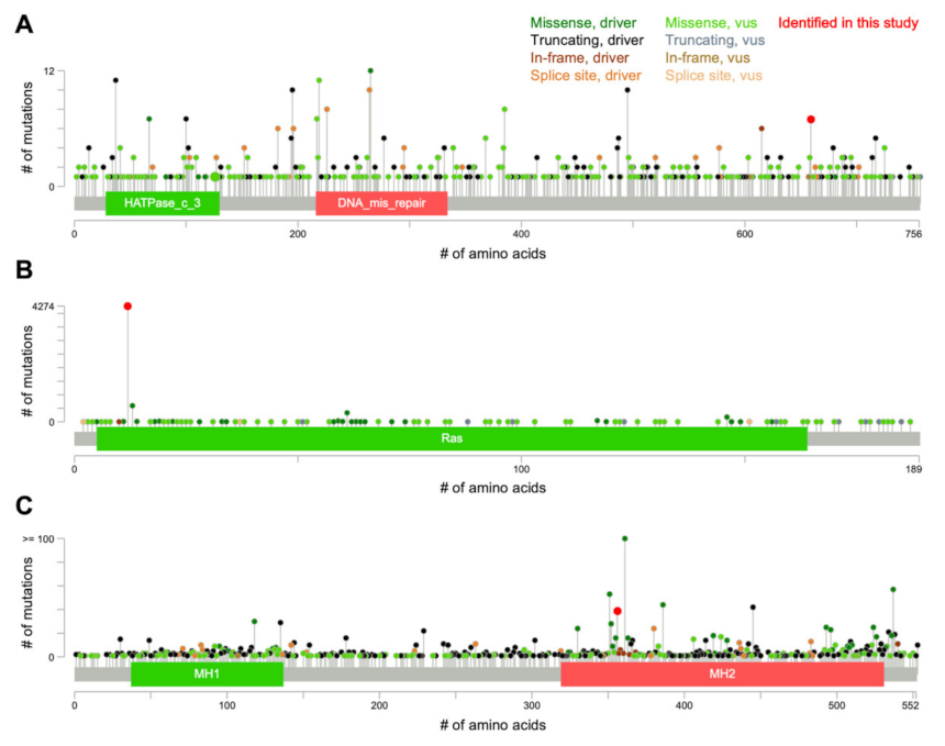 Ijms 23 00051 g002 550