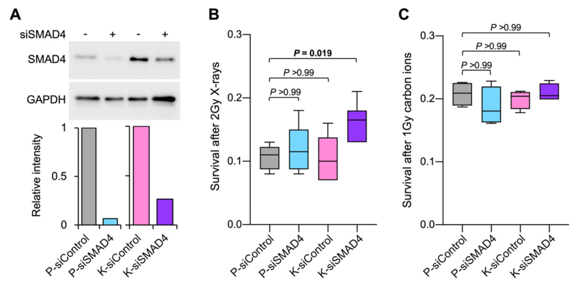 Ijms 23 00051 g003 550
