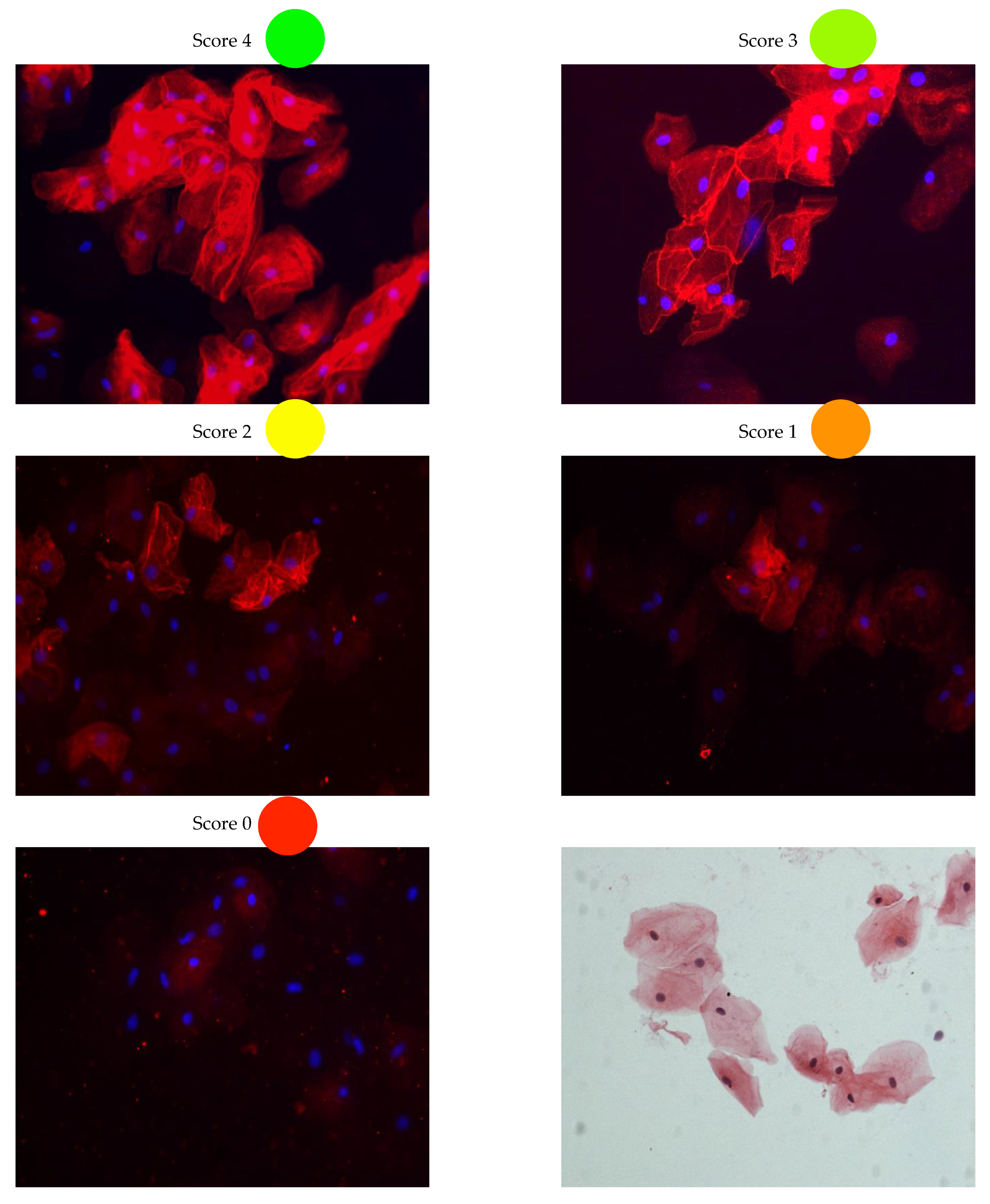 Ijms 23 00057 g001 550