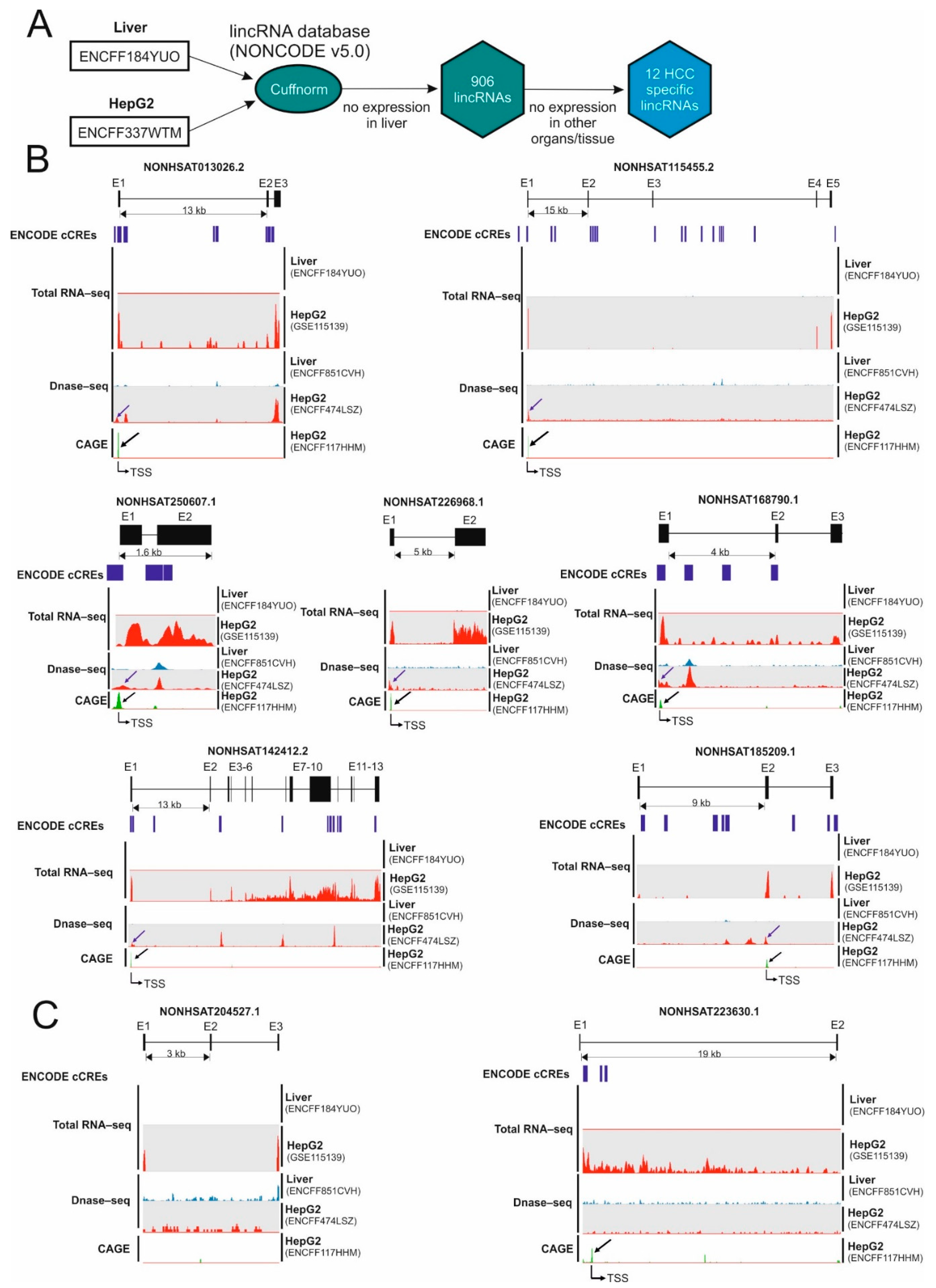 Ijms 23 00058 g001 Ijms 23 00058 g001