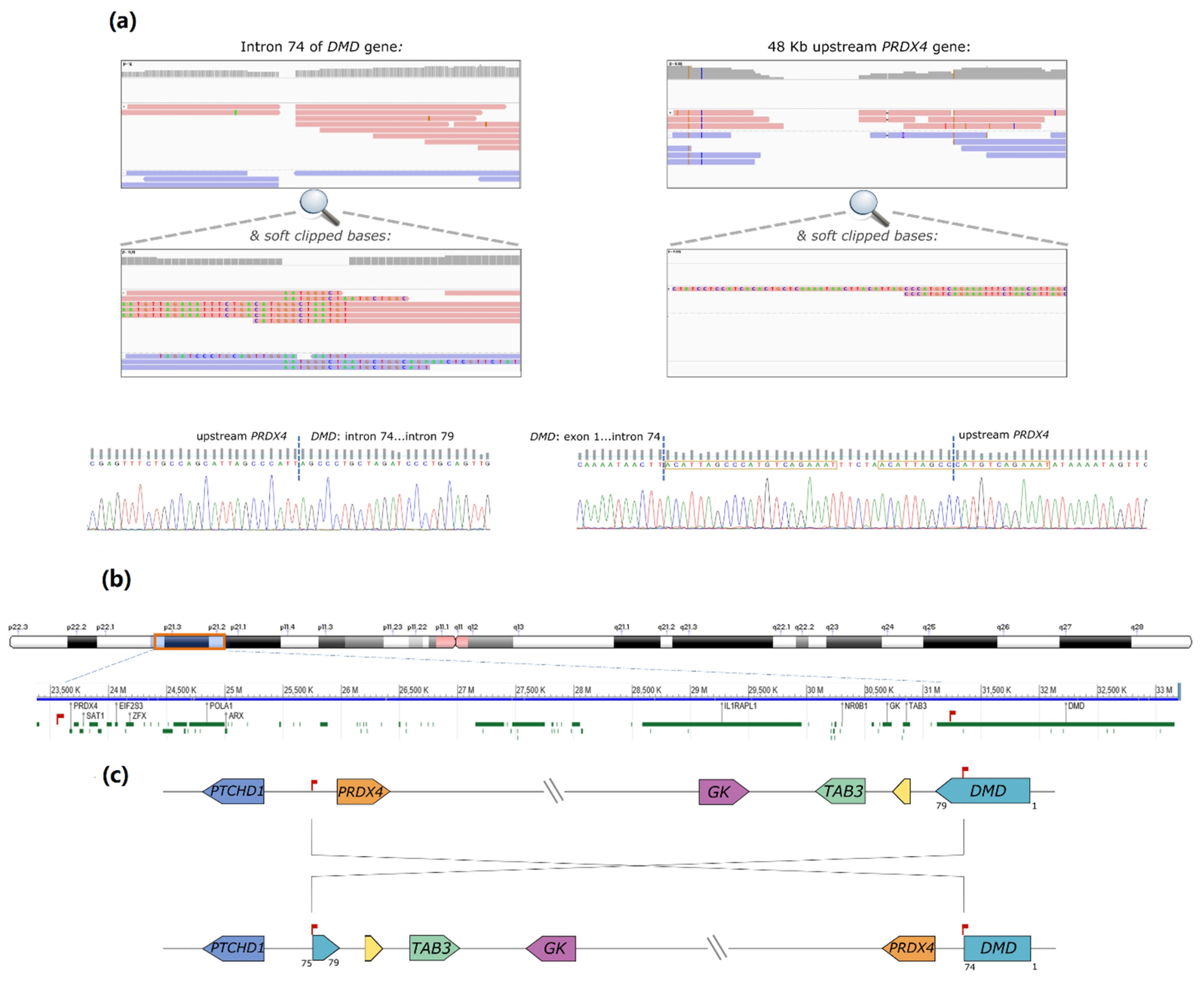 Ijms 23 00059 g001 550
