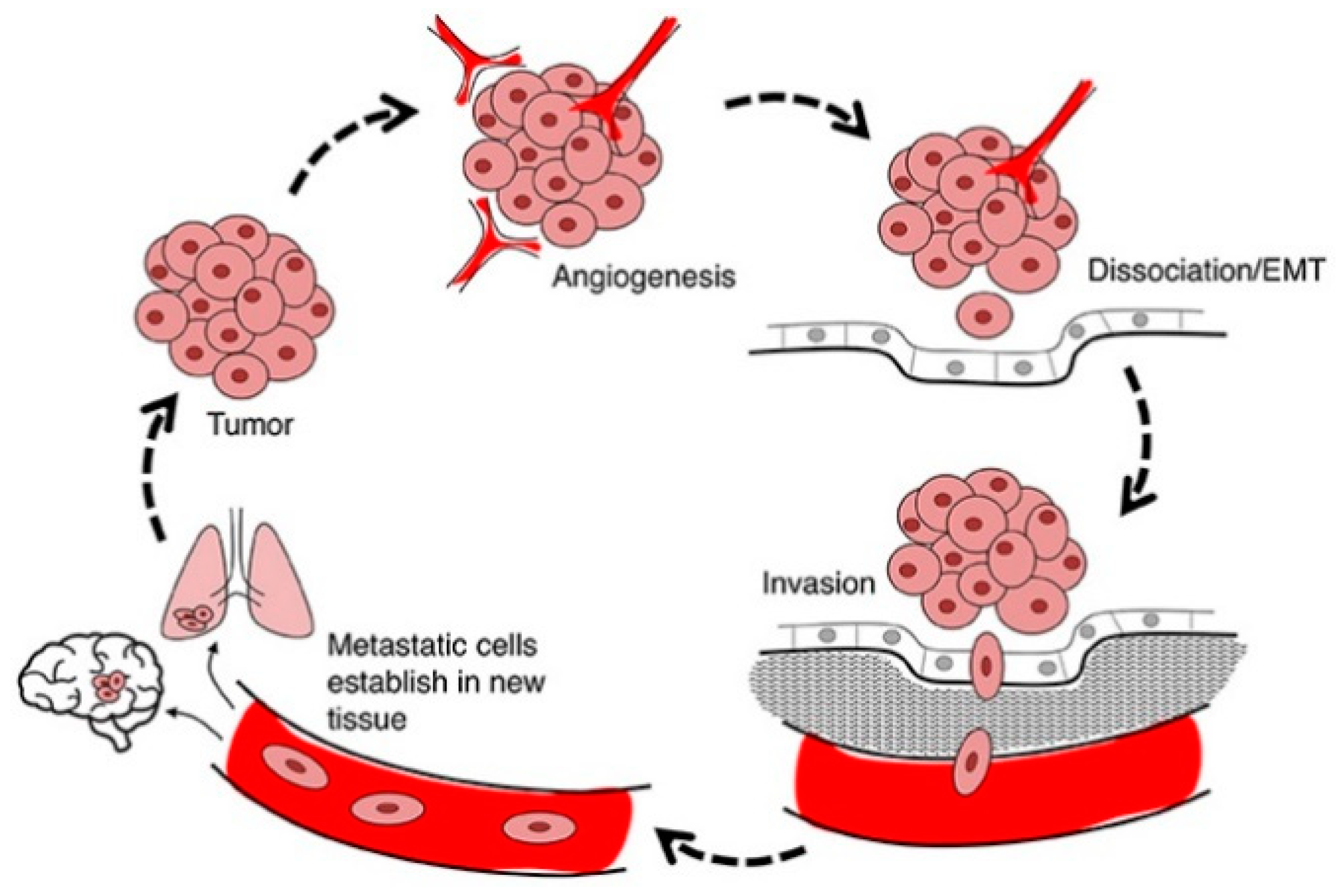Ijms 23 00072 g006 Ijms 23 00072 g006