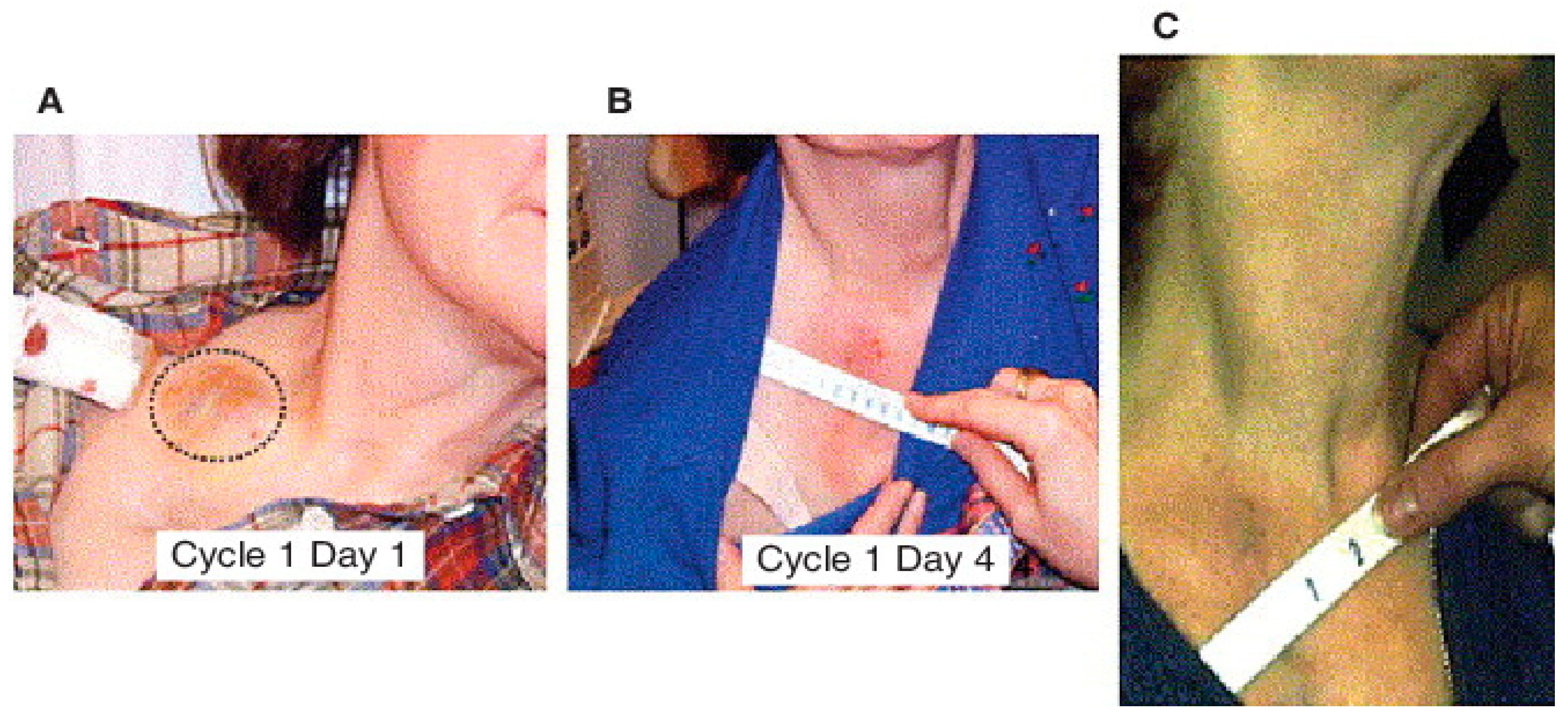 Ijms 23 00072 g007 Ijms 23 00072 g007