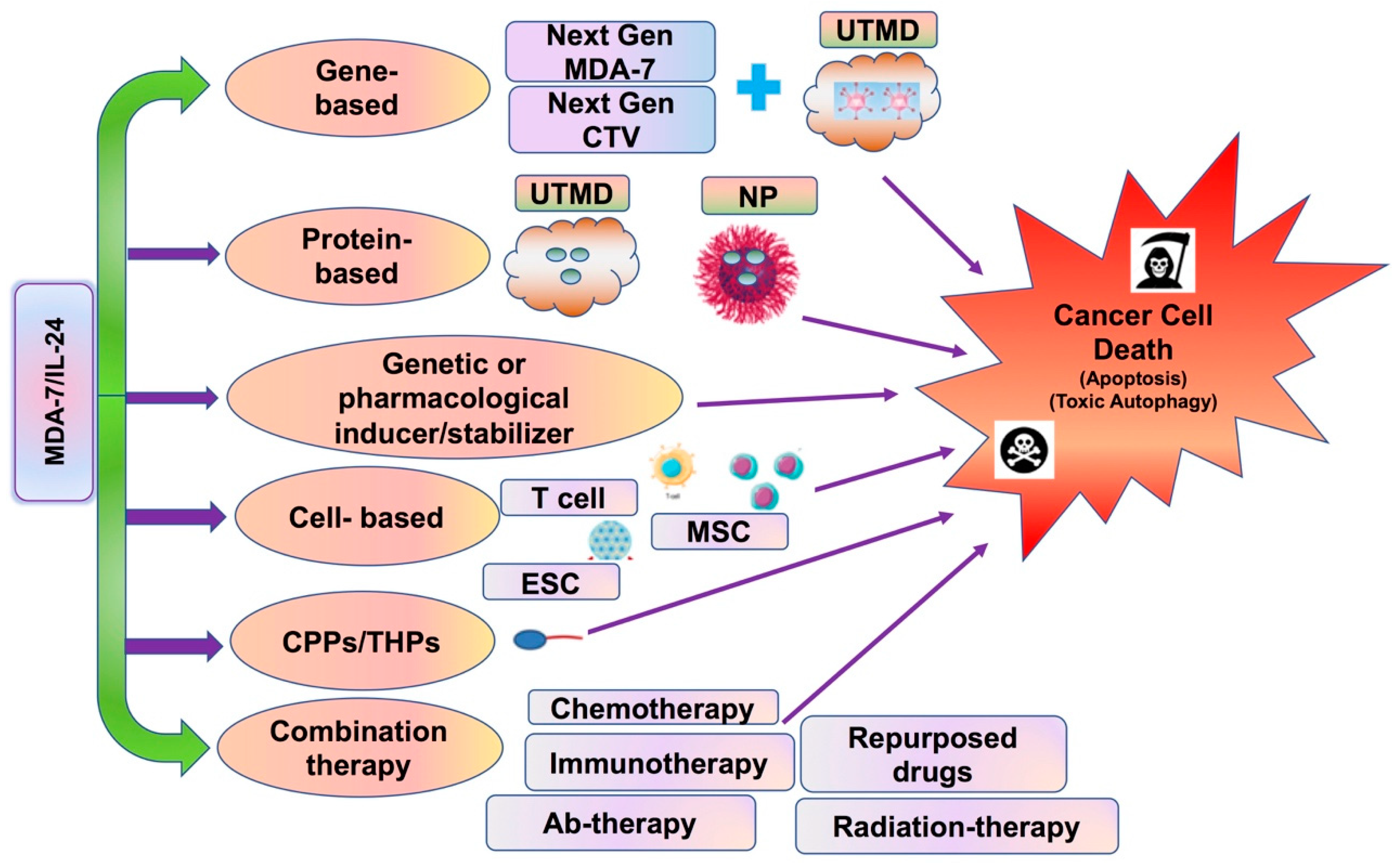 Ijms 23 00072 g008 Ijms 23 00072 g008