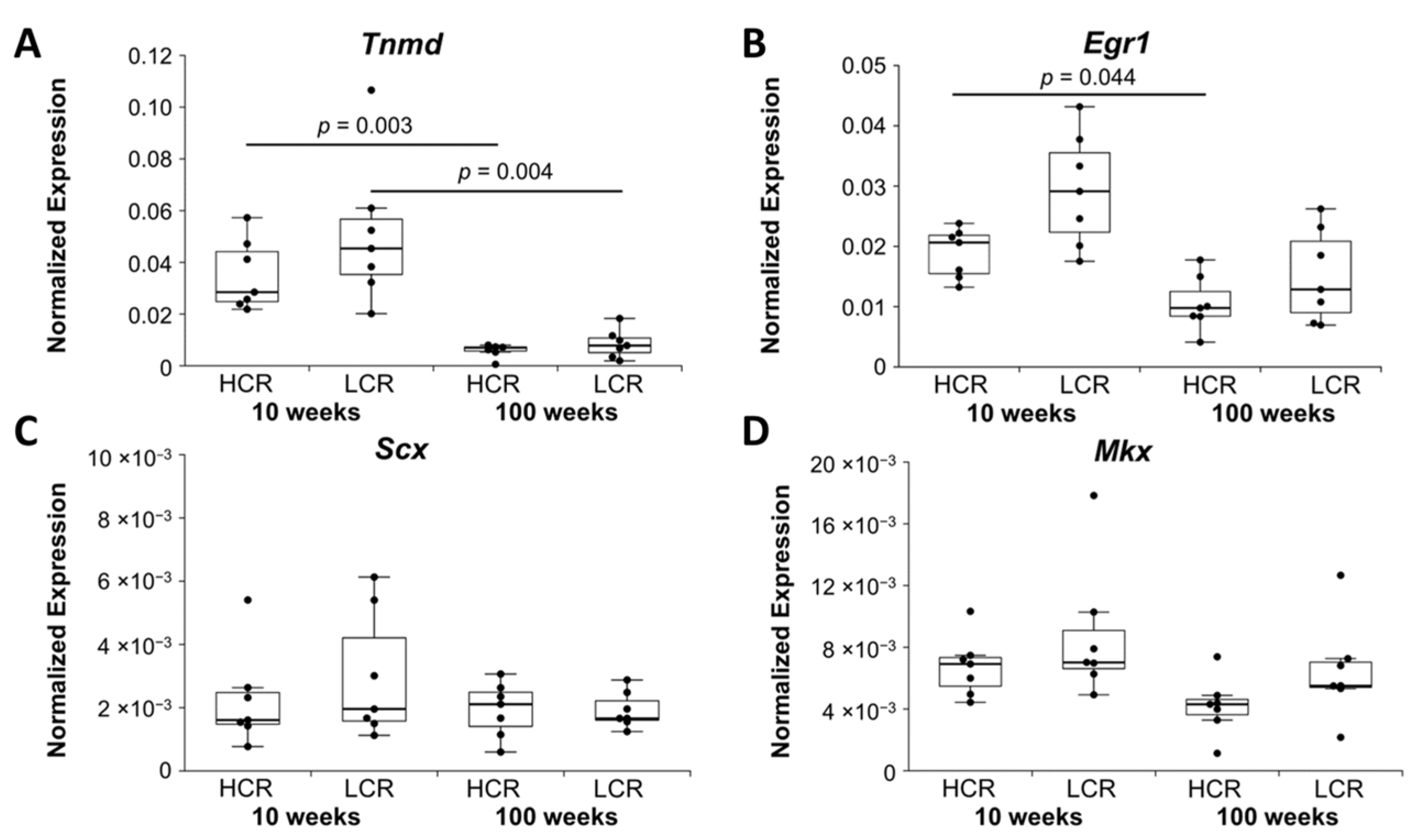 Ijms 23 00079 g001 Ijms 23 00079 g001