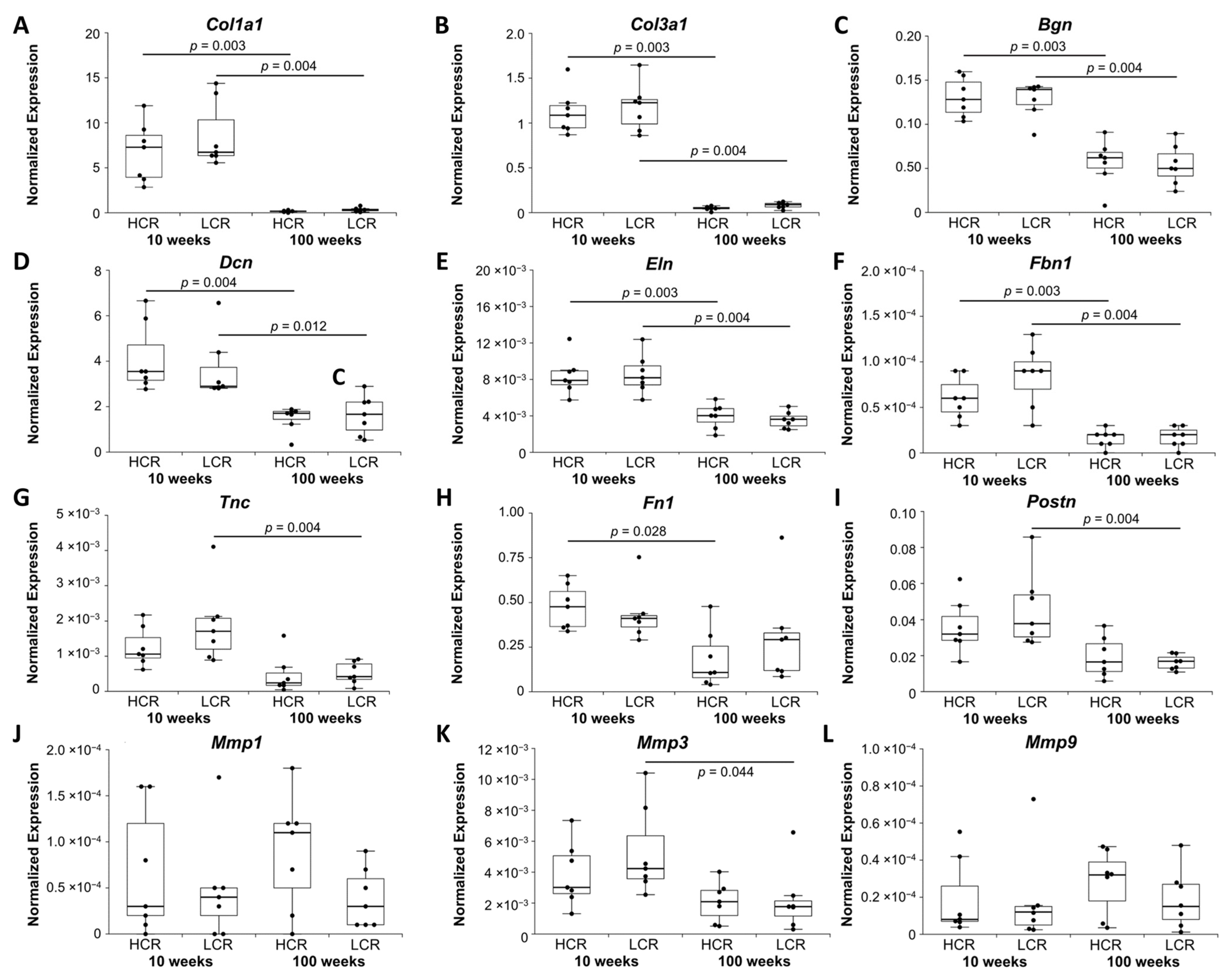 Ijms 23 00079 g002 Ijms 23 00079 g002