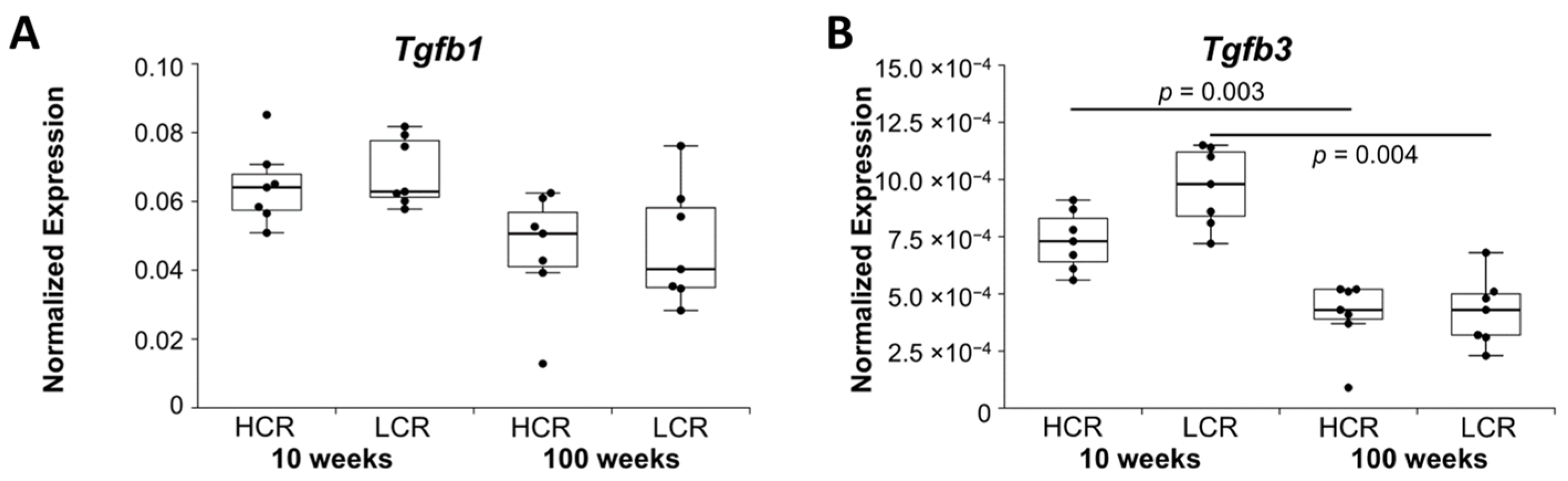 Ijms 23 00079 g003 Ijms 23 00079 g003