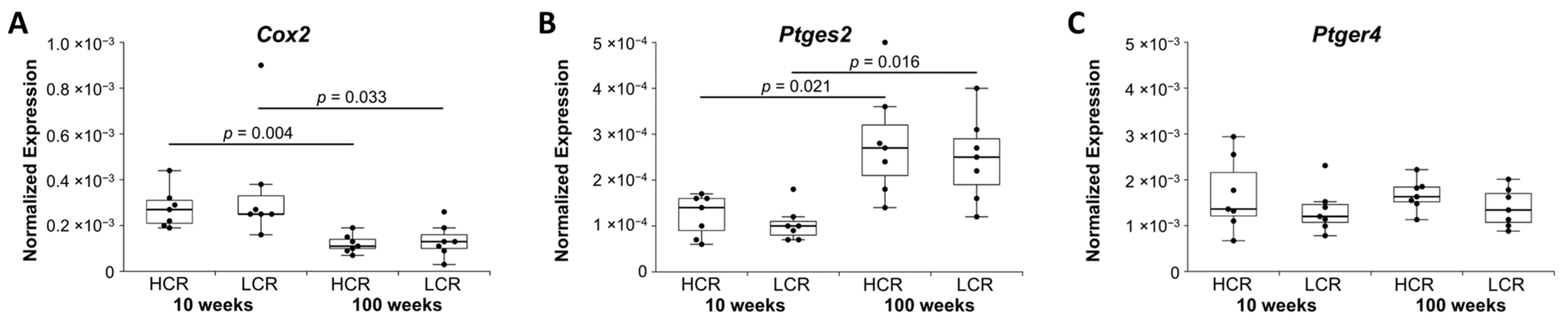 Ijms 23 00079 g004 Ijms 23 00079 g004