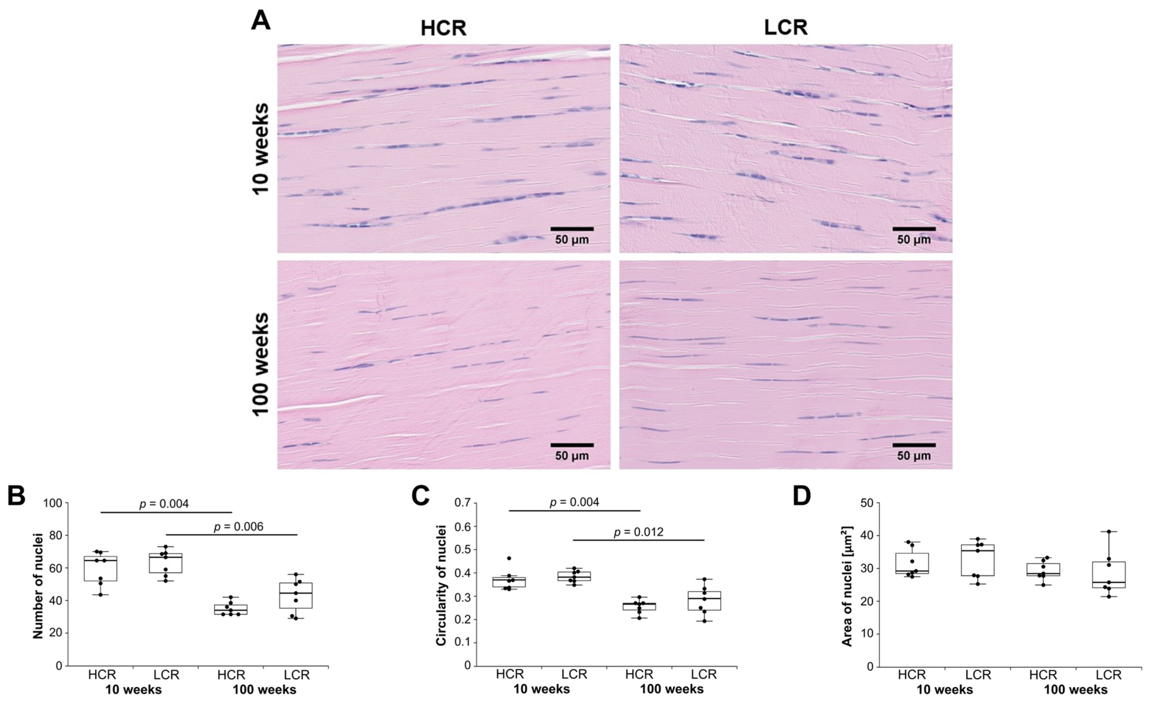 Ijms 23 00079 g006 Ijms 23 00079 g006