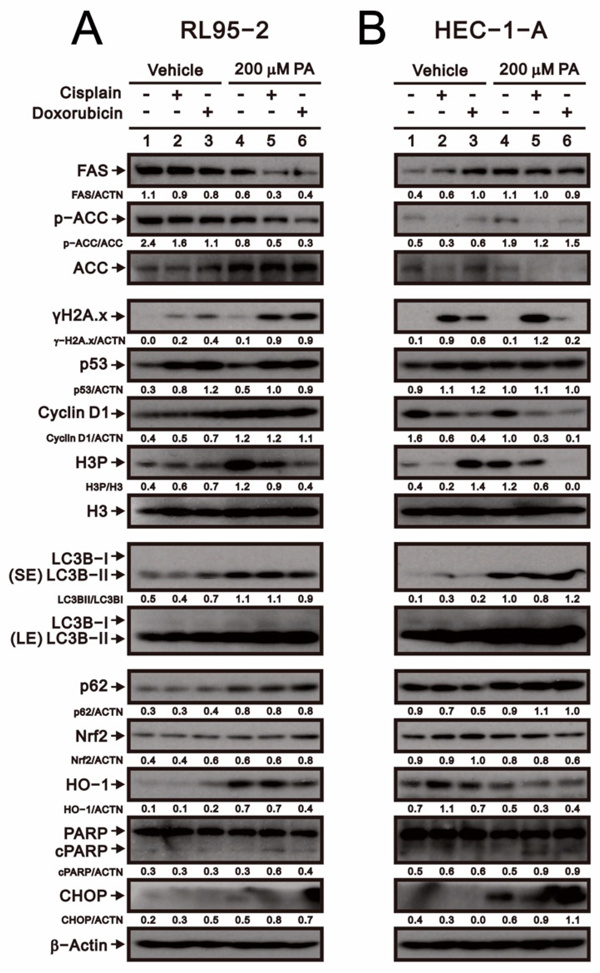 Ijms 23 00080 g003 550