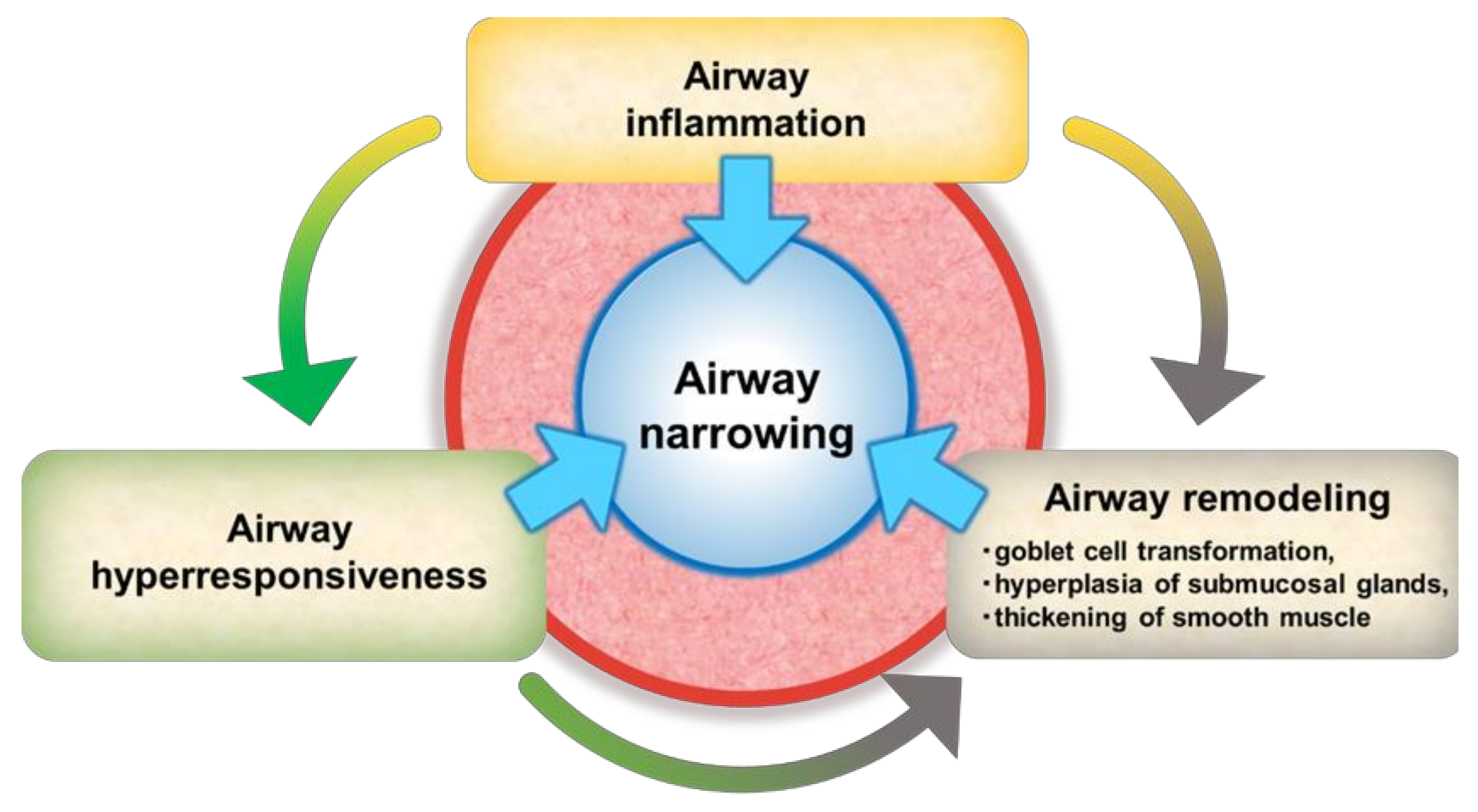 Ijms 23 00083 g001 Ijms 23 00083 g001