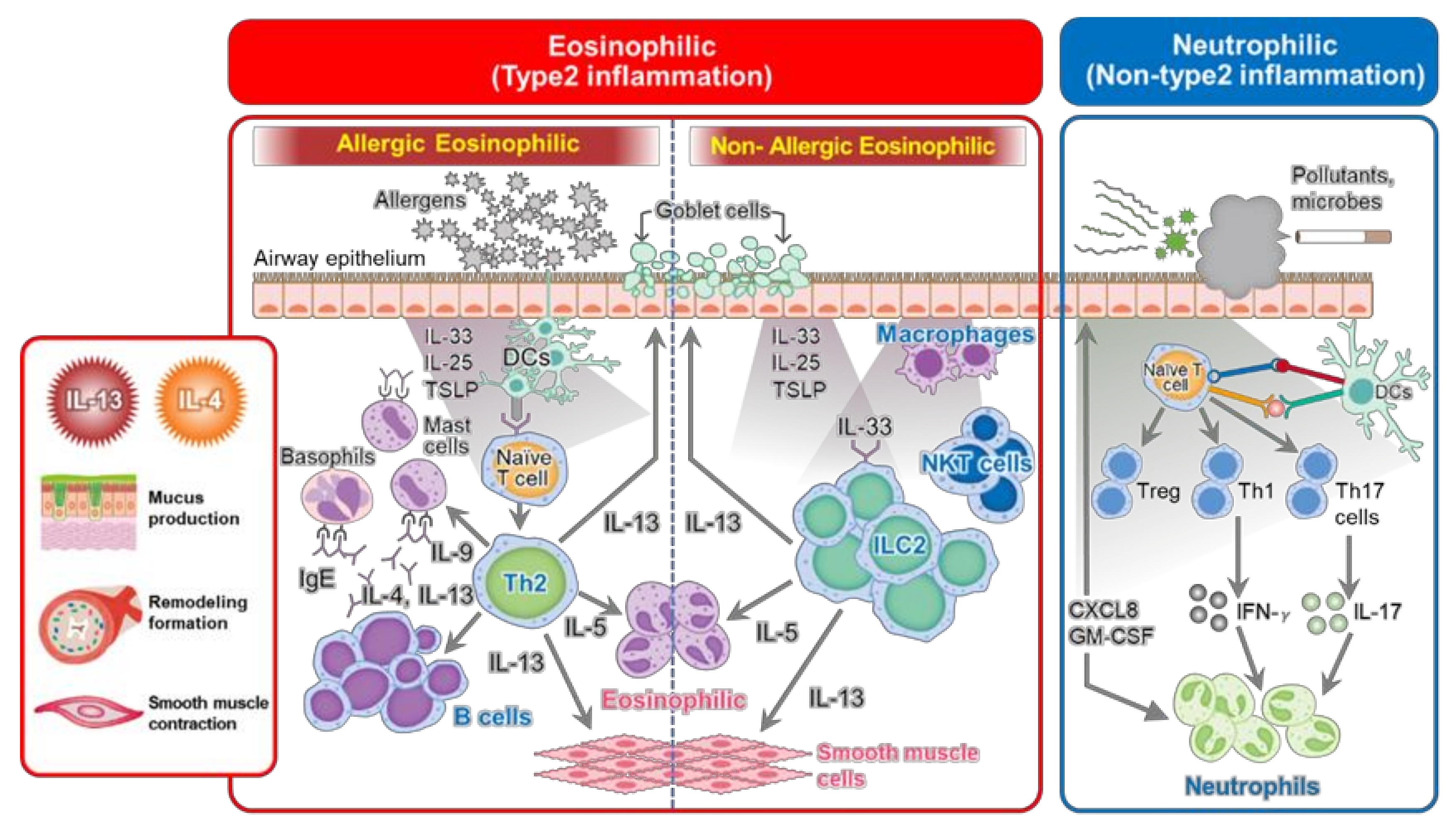 Ijms 23 00083 g003 Ijms 23 00083 g003