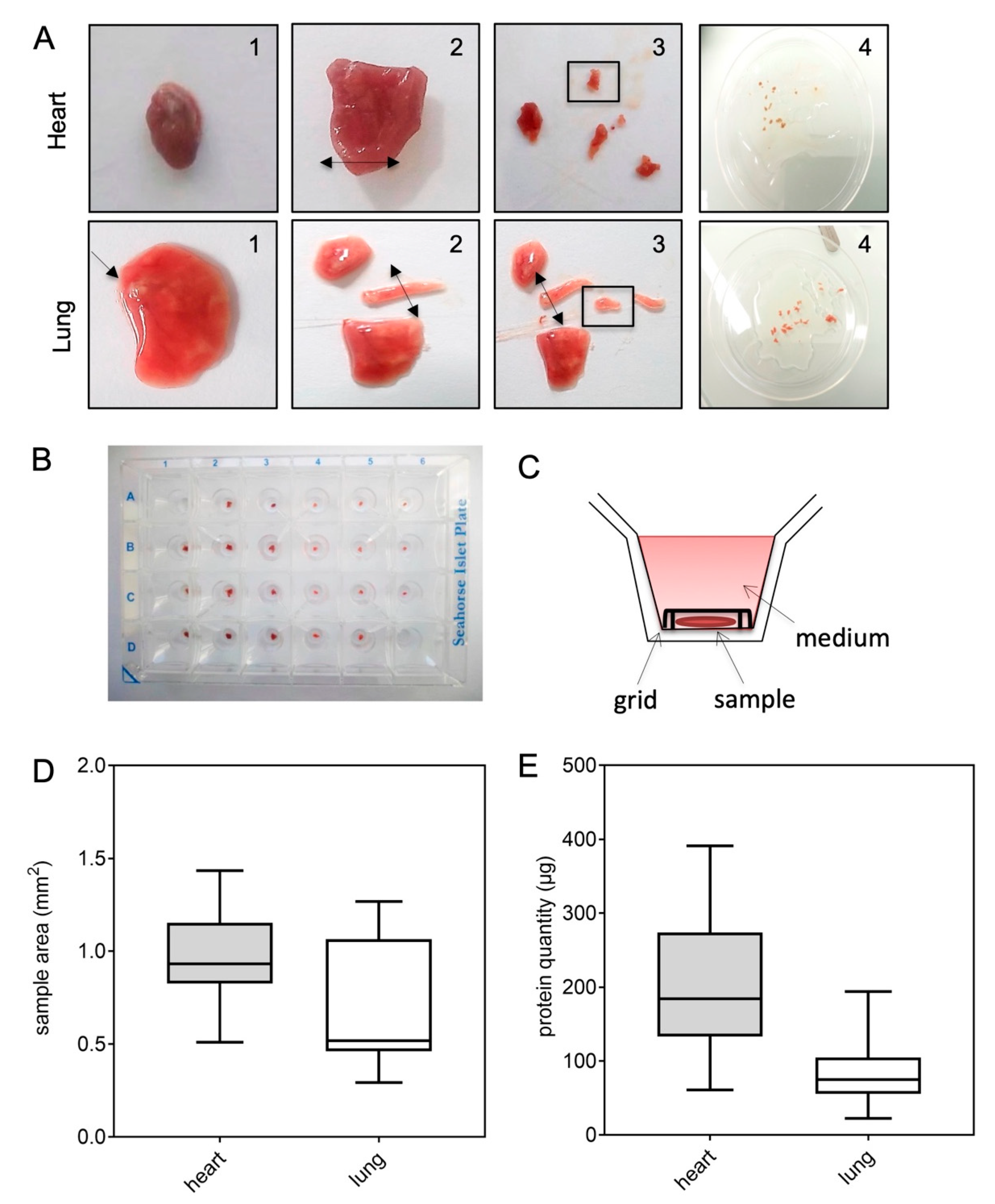 Ijms 23 00109 g001 550