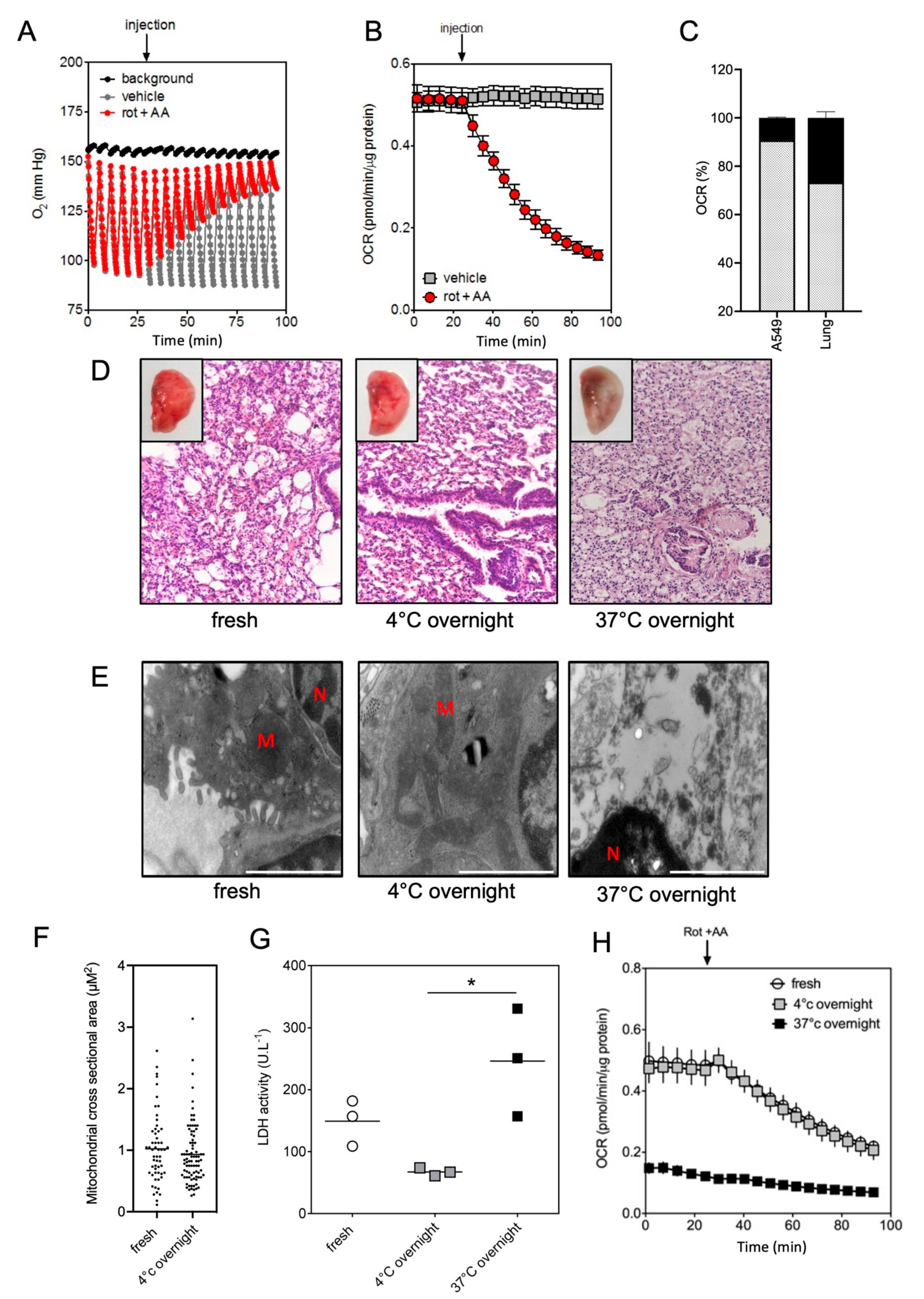 Ijms 23 00109 g003 550