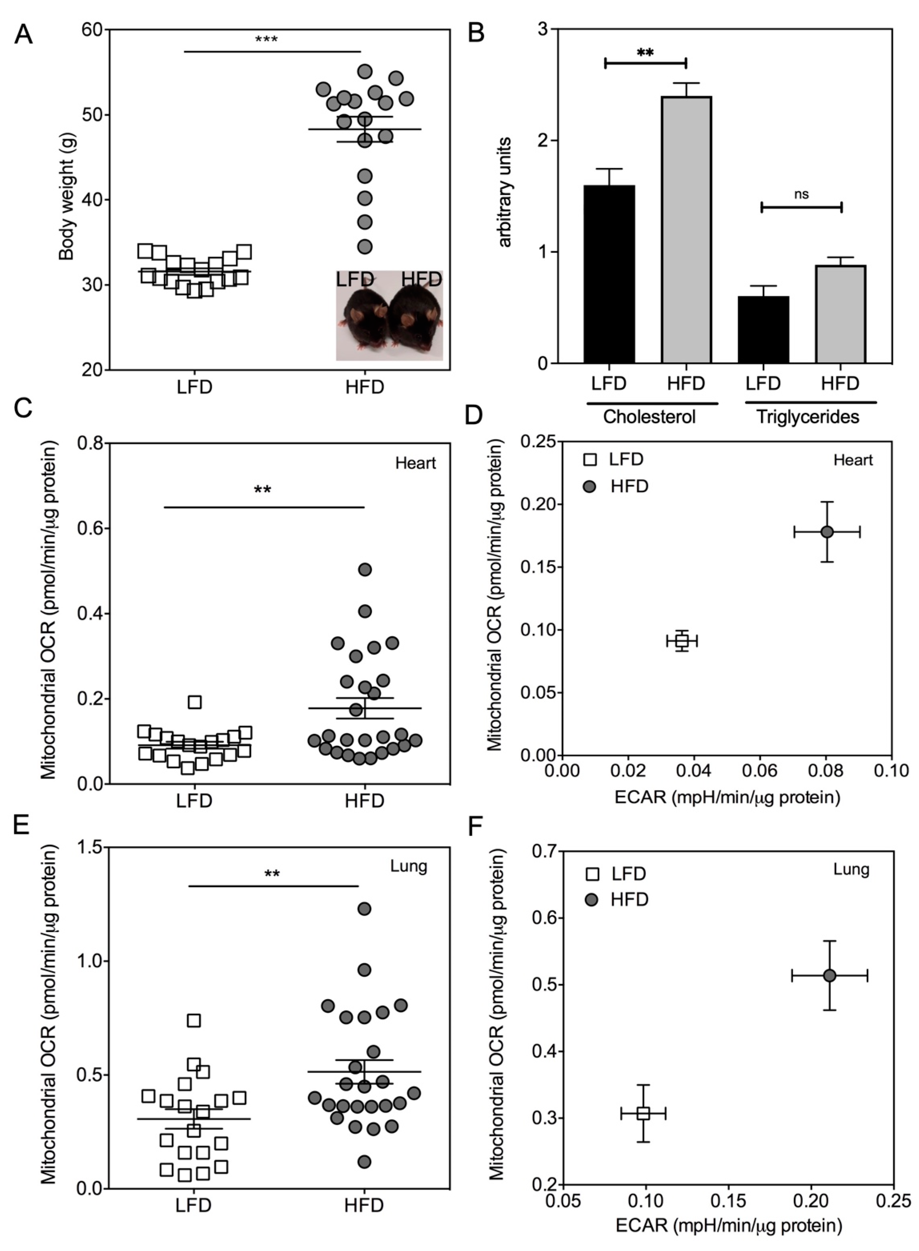 Ijms 23 00109 g004 550