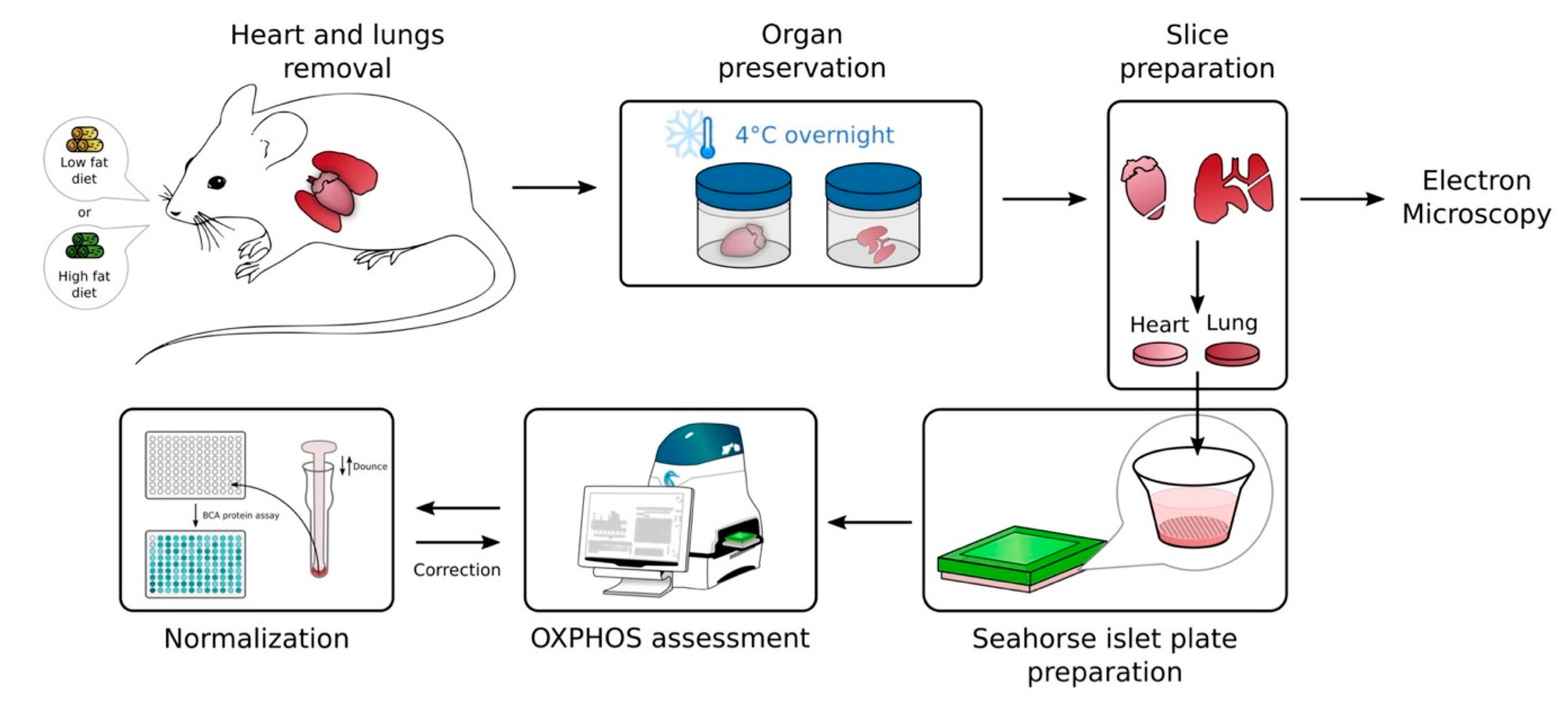 Ijms 23 00109 g005 550