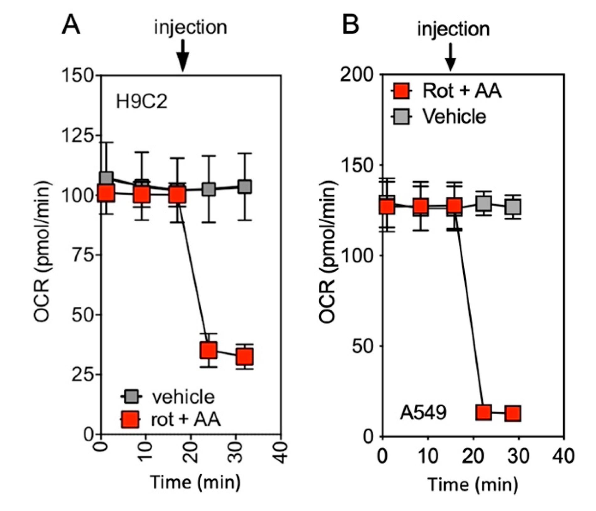 Ijms 23 00109 g0a2 550