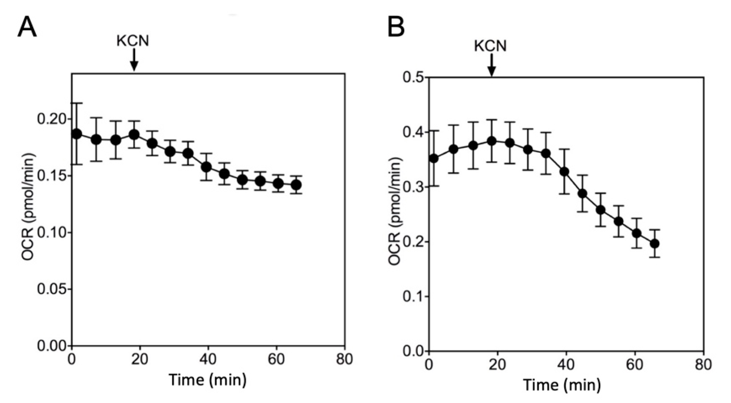Ijms 23 00109 g0a3 550