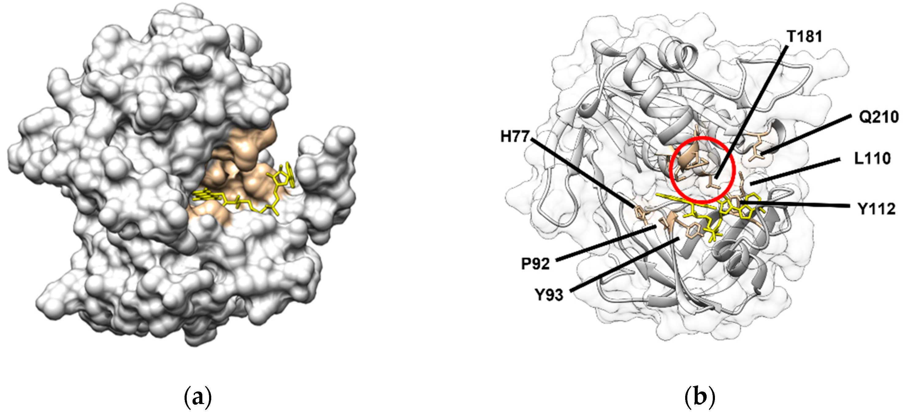 Ijms 23 00118 g002 Ijms 23 00118 g002