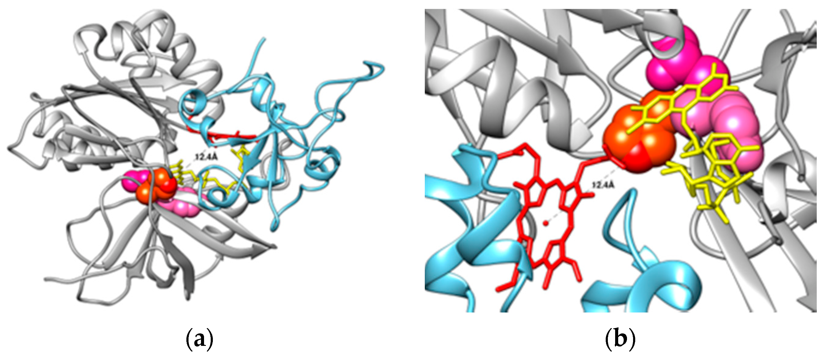 Ijms 23 00118 g003a Ijms 23 00118 g003a