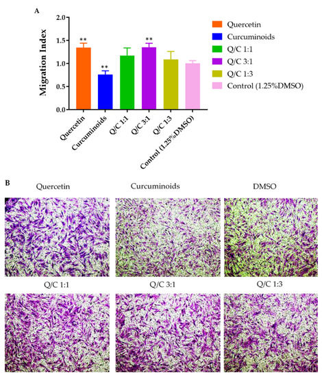 Effects of Quercetin and Curcumin Combination on Antibacterial ...