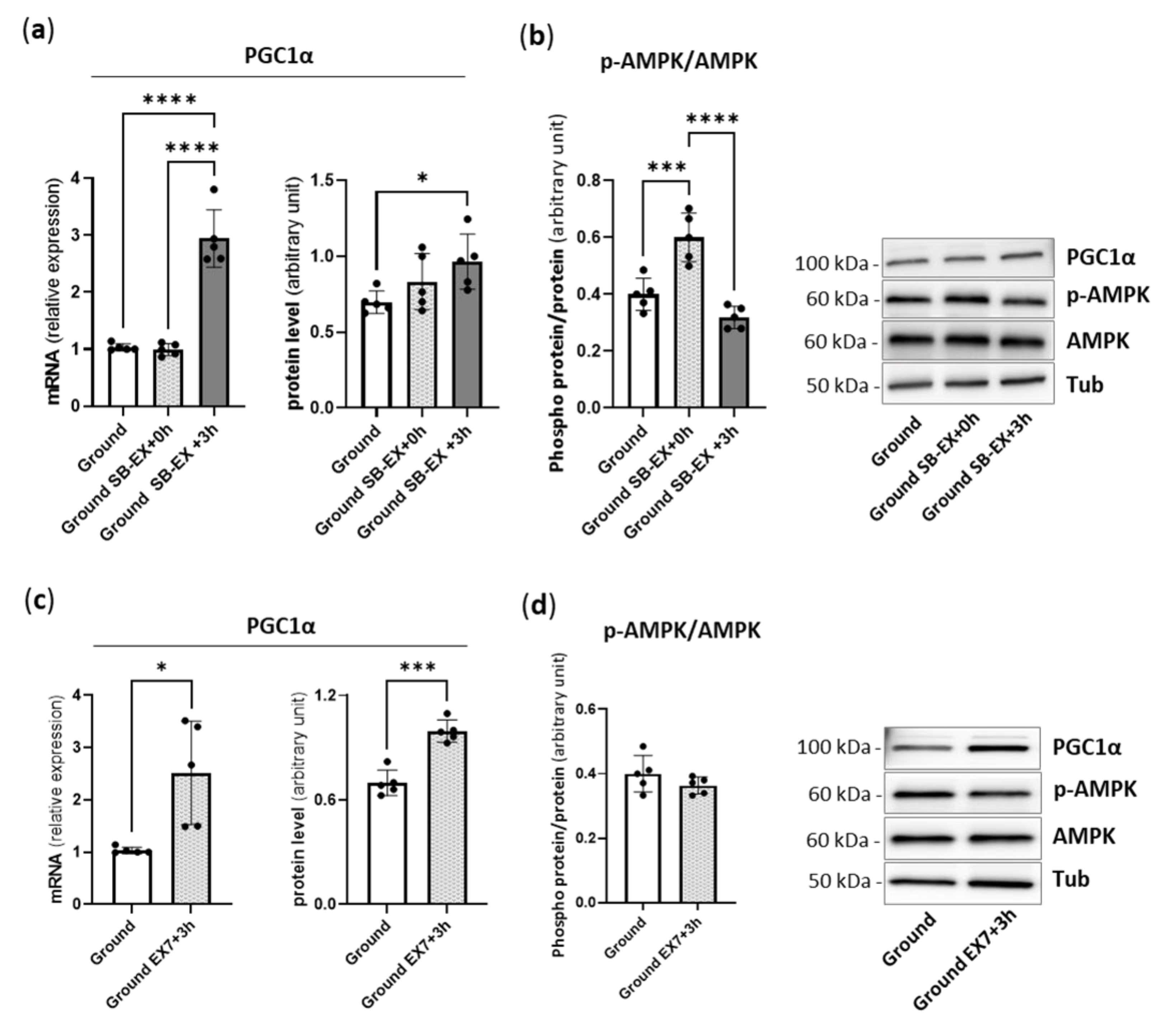 Ijms 23 00148 g001 550