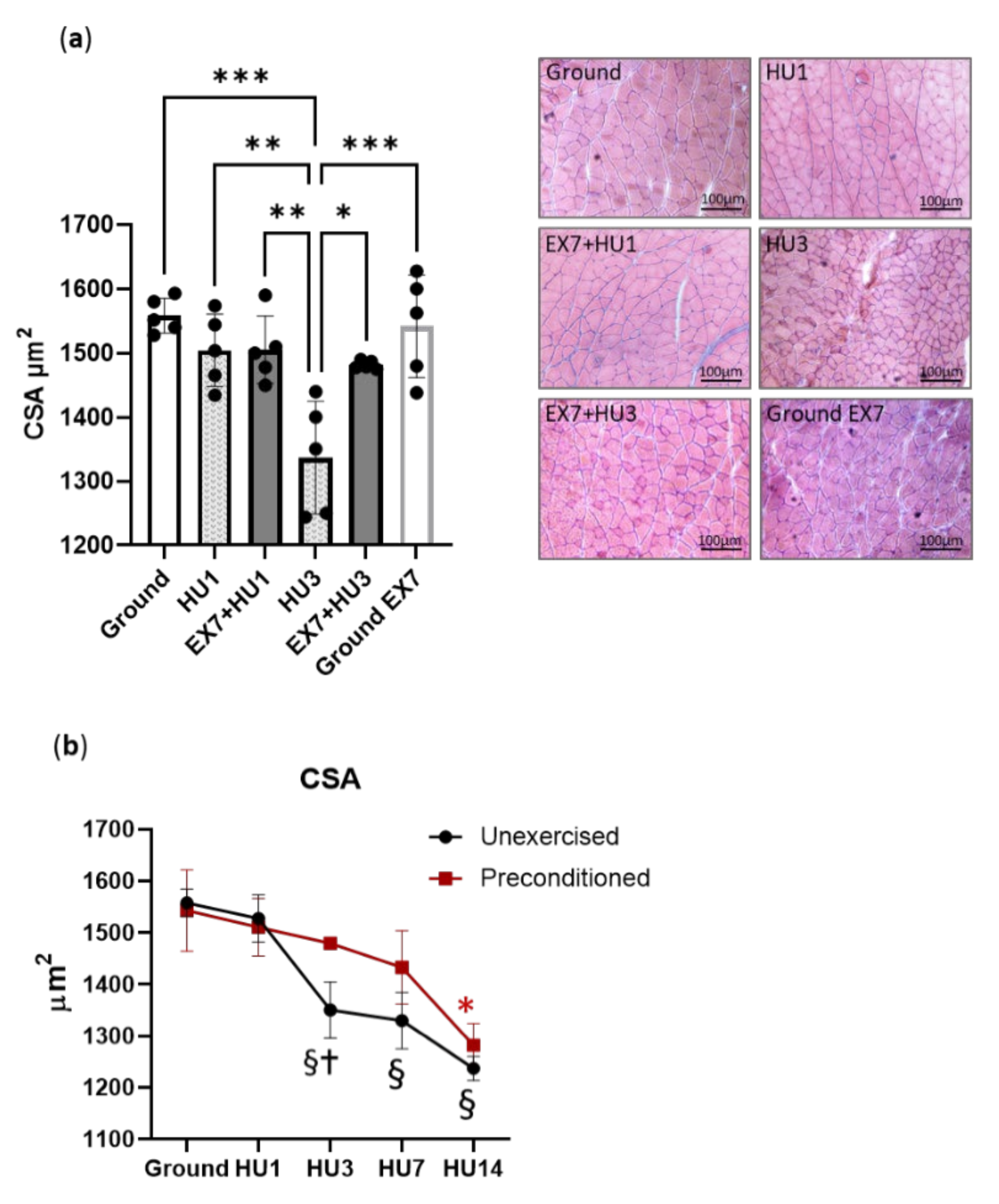 Ijms 23 00148 g002 550