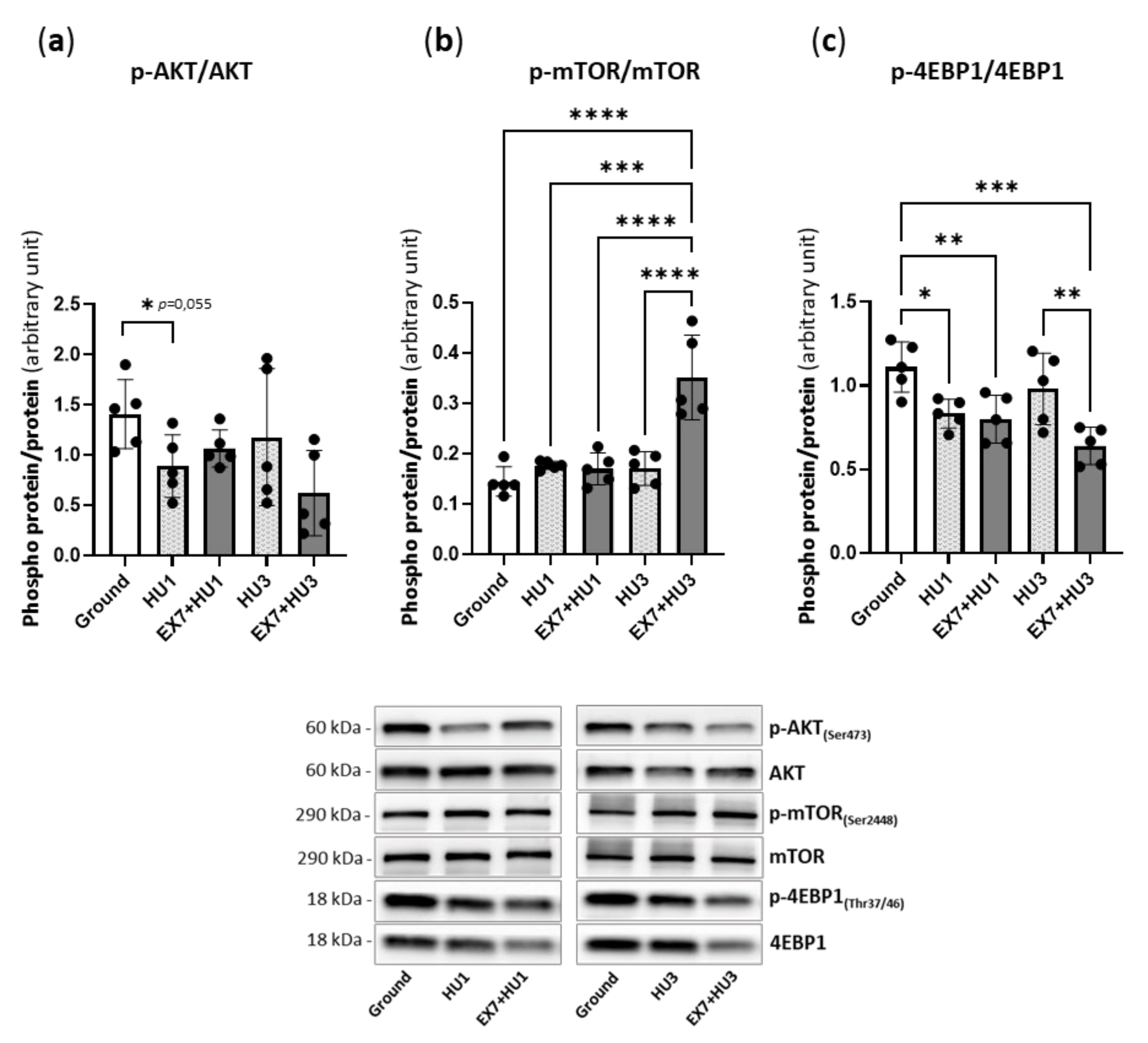 Ijms 23 00148 g004 550