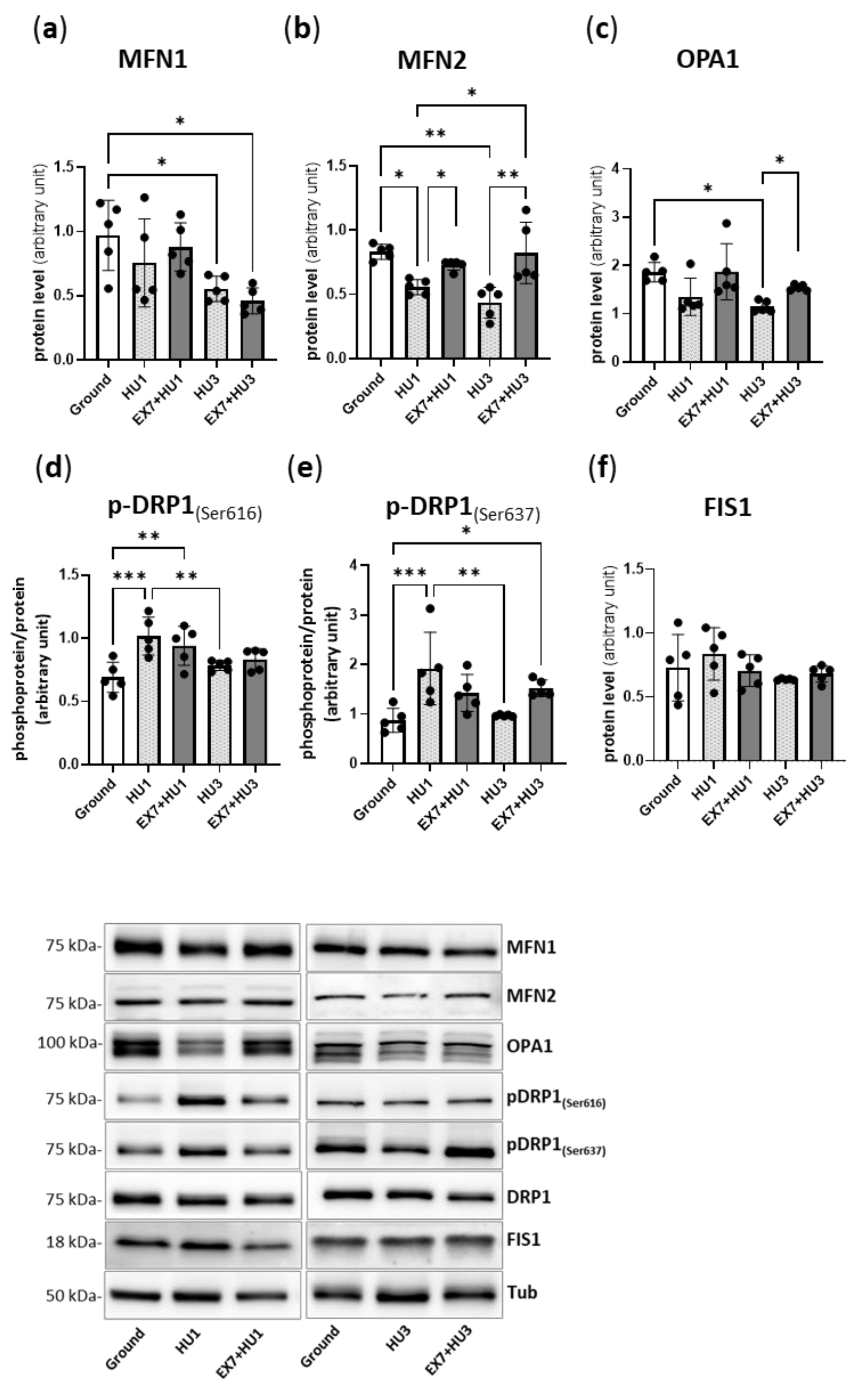 Ijms 23 00148 g005 550