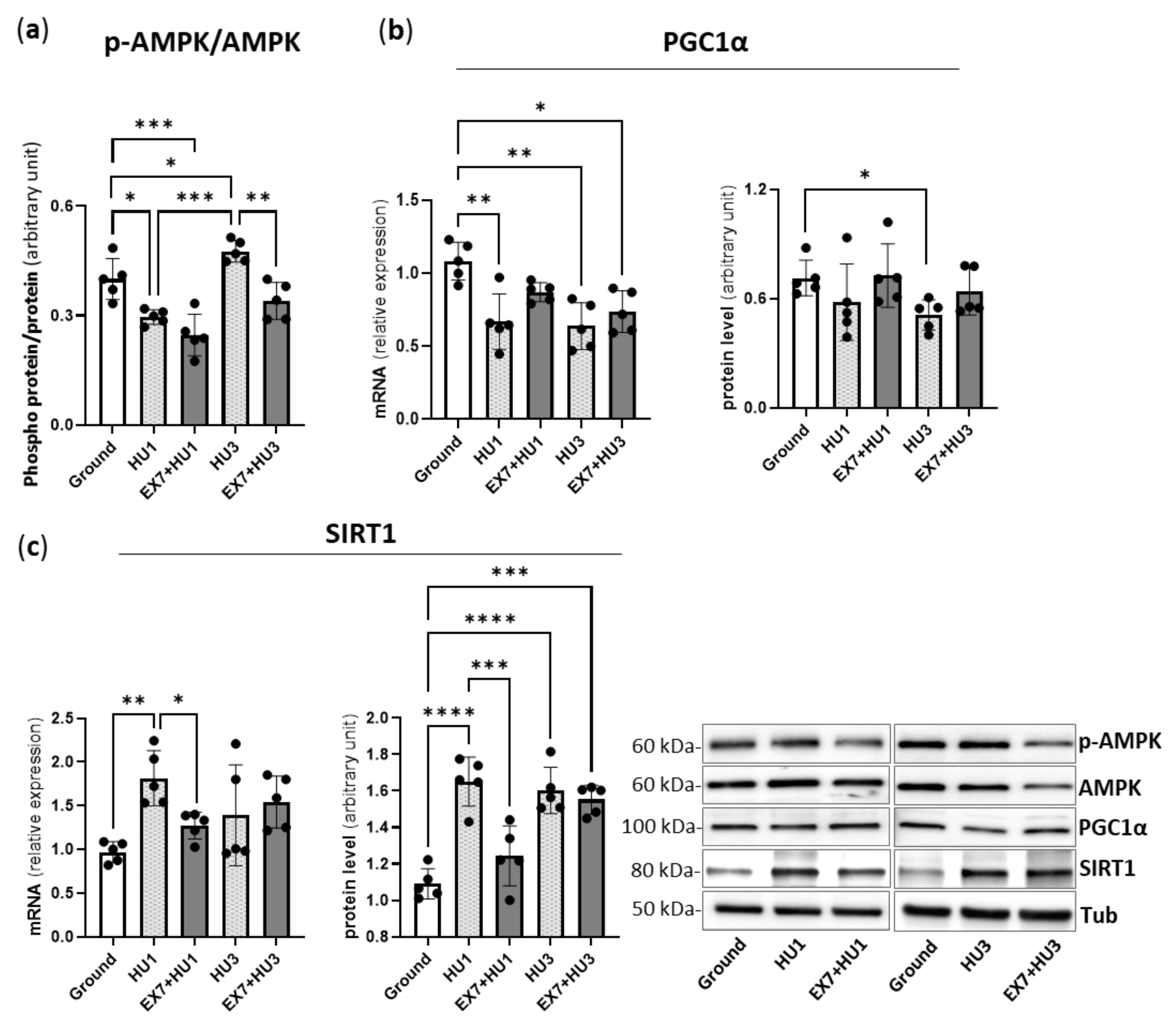 Ijms 23 00148 g006 550
