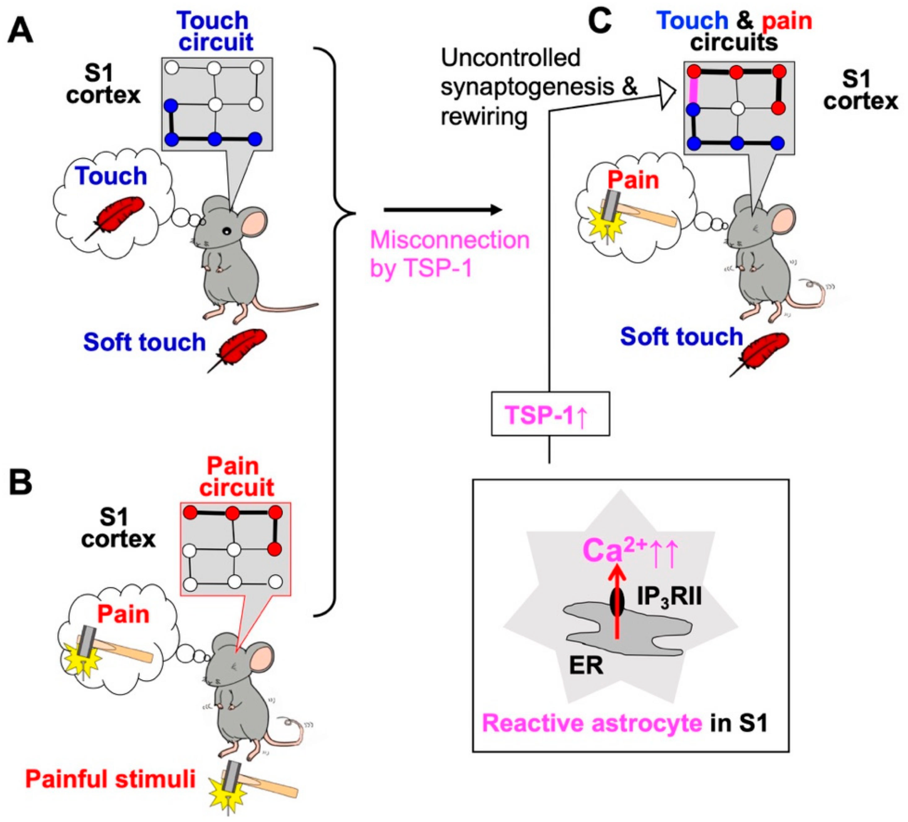 Ijms 23 00149 g001 550