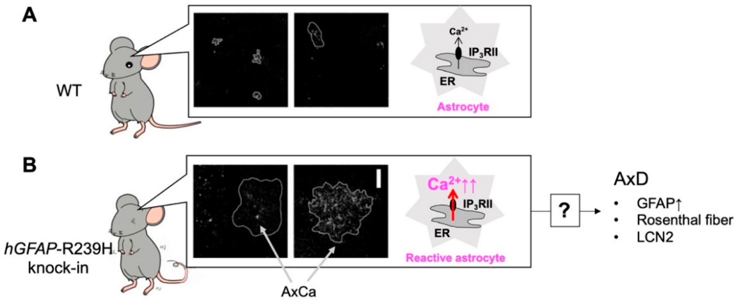 Ijms 23 00149 g003 550
