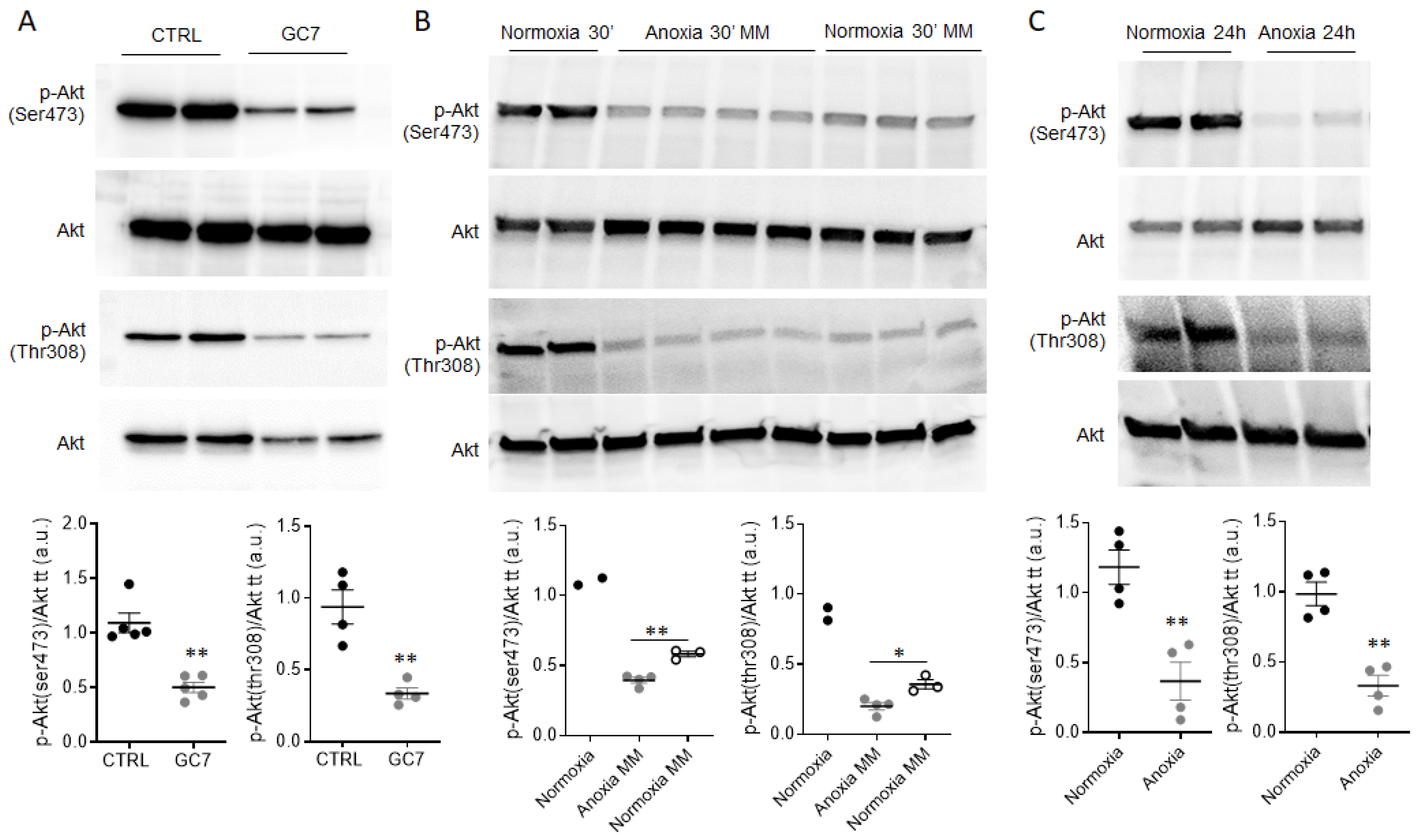 Ijms 23 00152 g001 Ijms 23 00152 g001