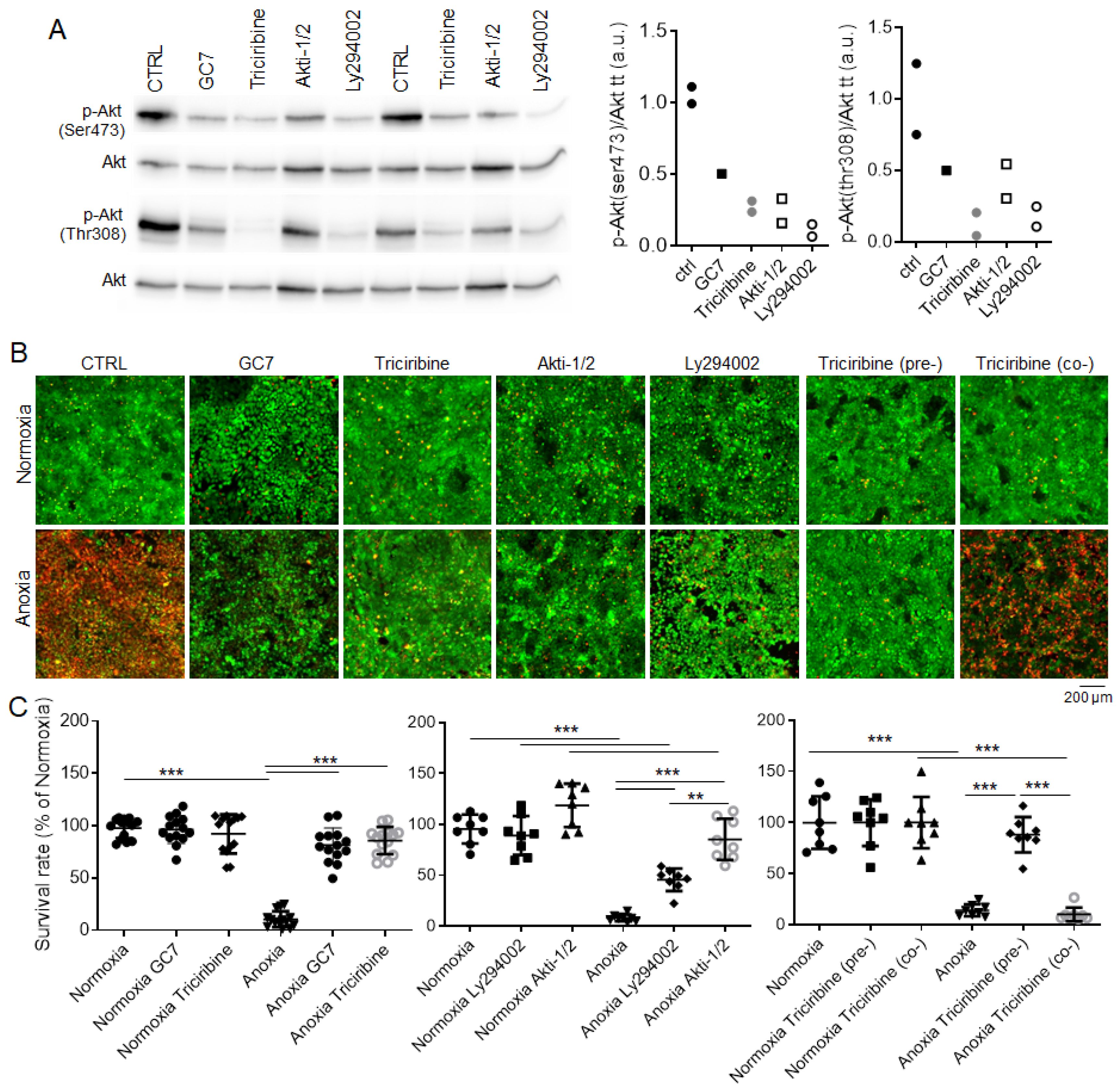 Ijms 23 00152 g002 Ijms 23 00152 g002