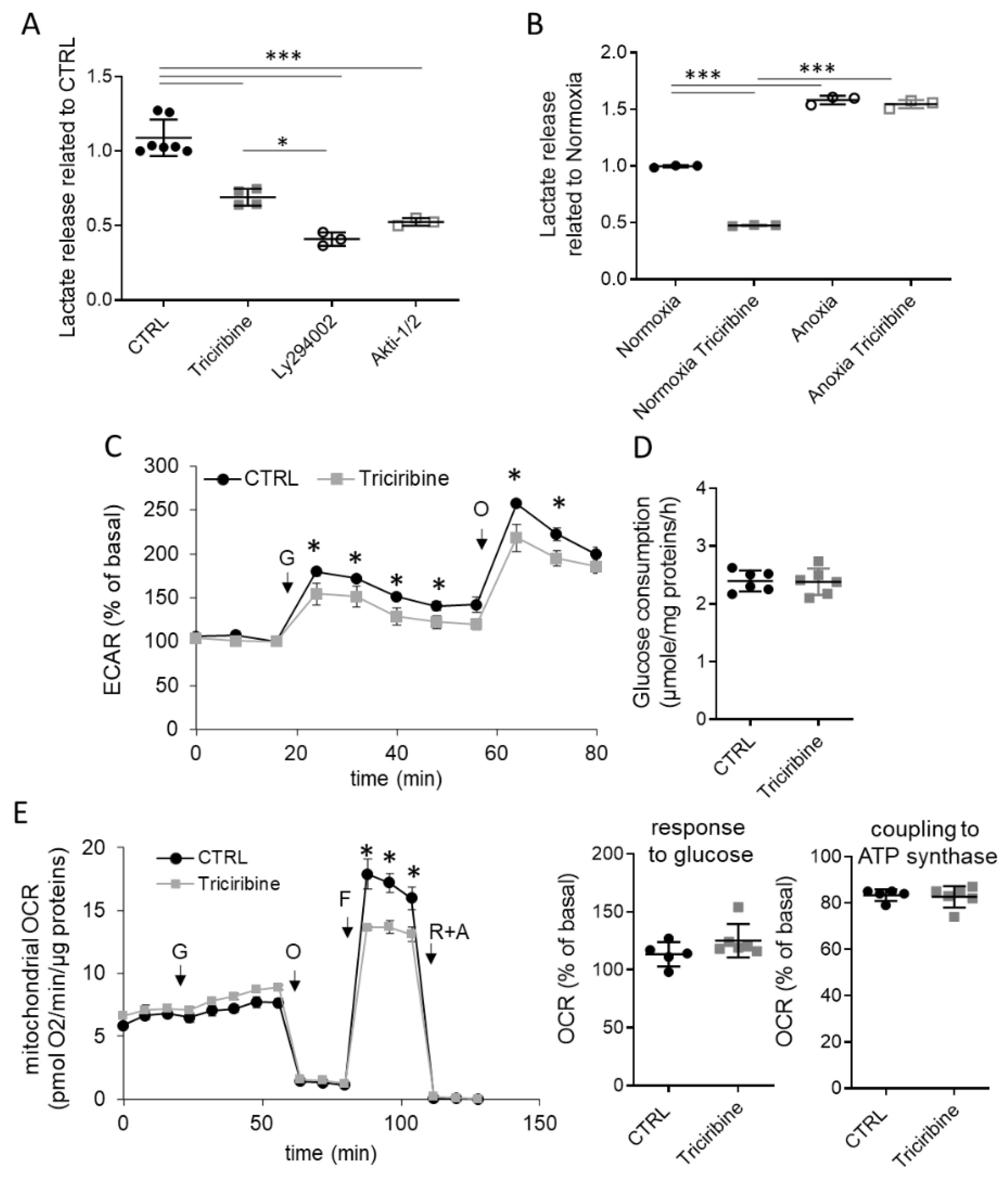Ijms 23 00152 g003 Ijms 23 00152 g003