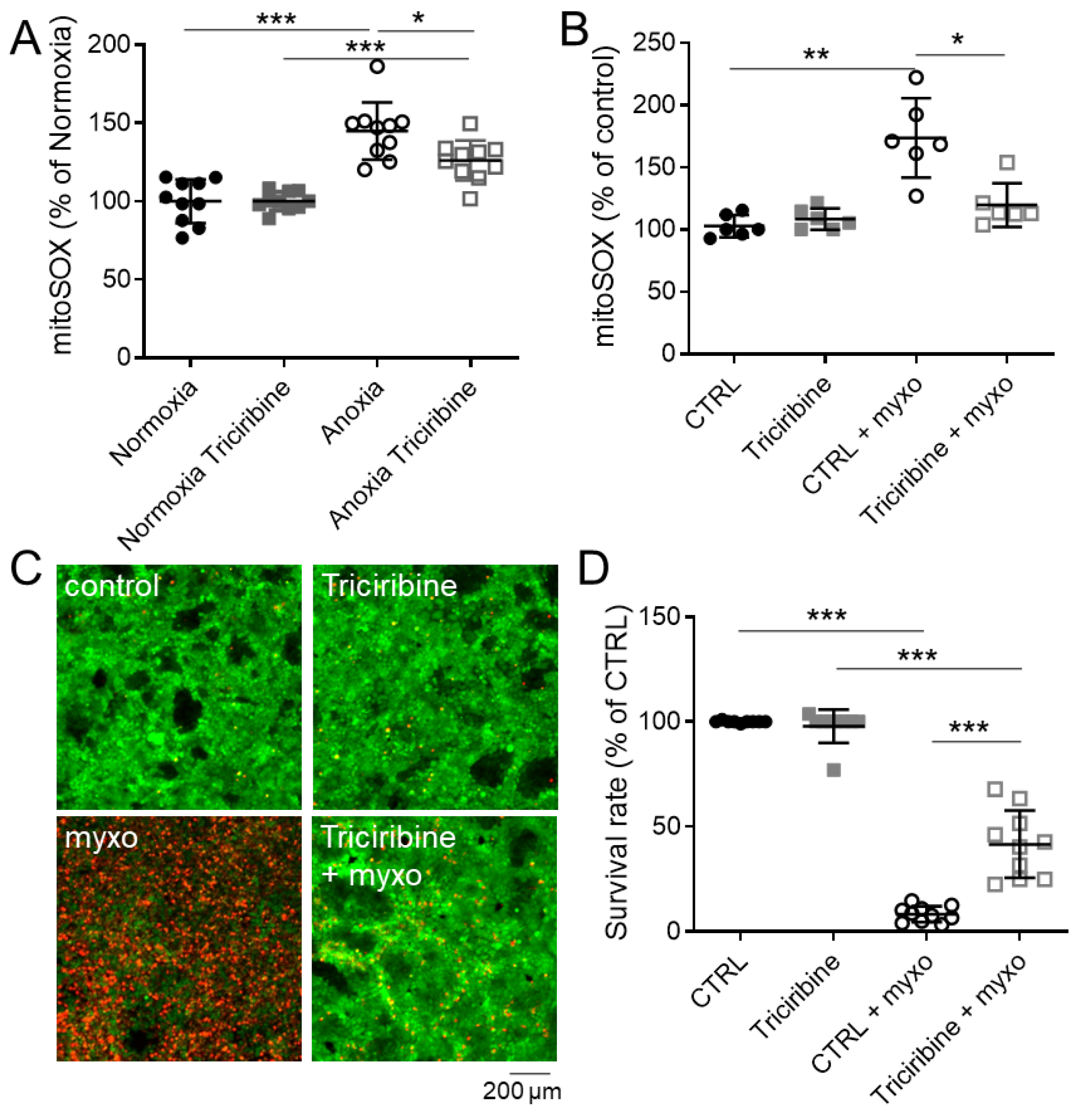 Ijms 23 00152 g004 Ijms 23 00152 g004