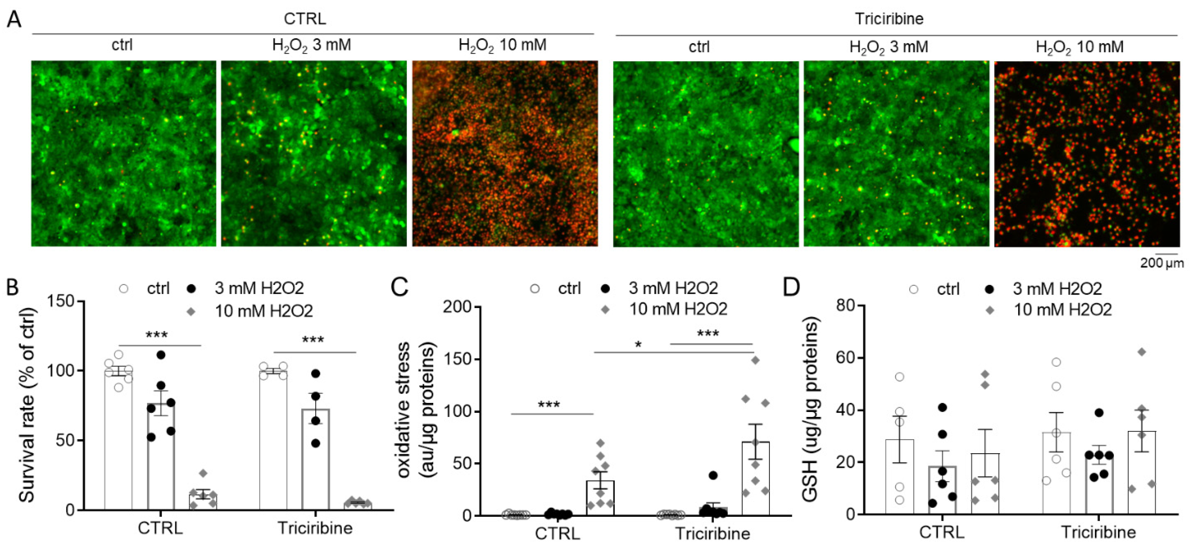 Ijms 23 00152 g005 Ijms 23 00152 g005