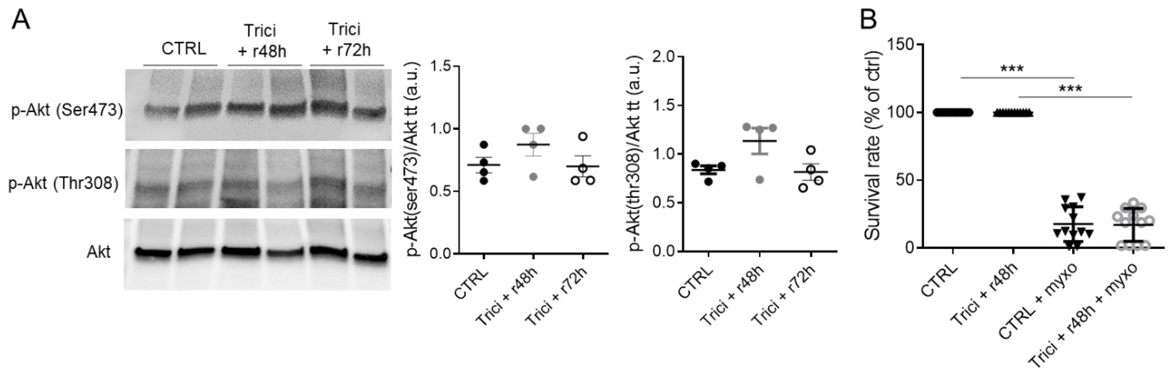 Ijms 23 00152 g006 Ijms 23 00152 g006