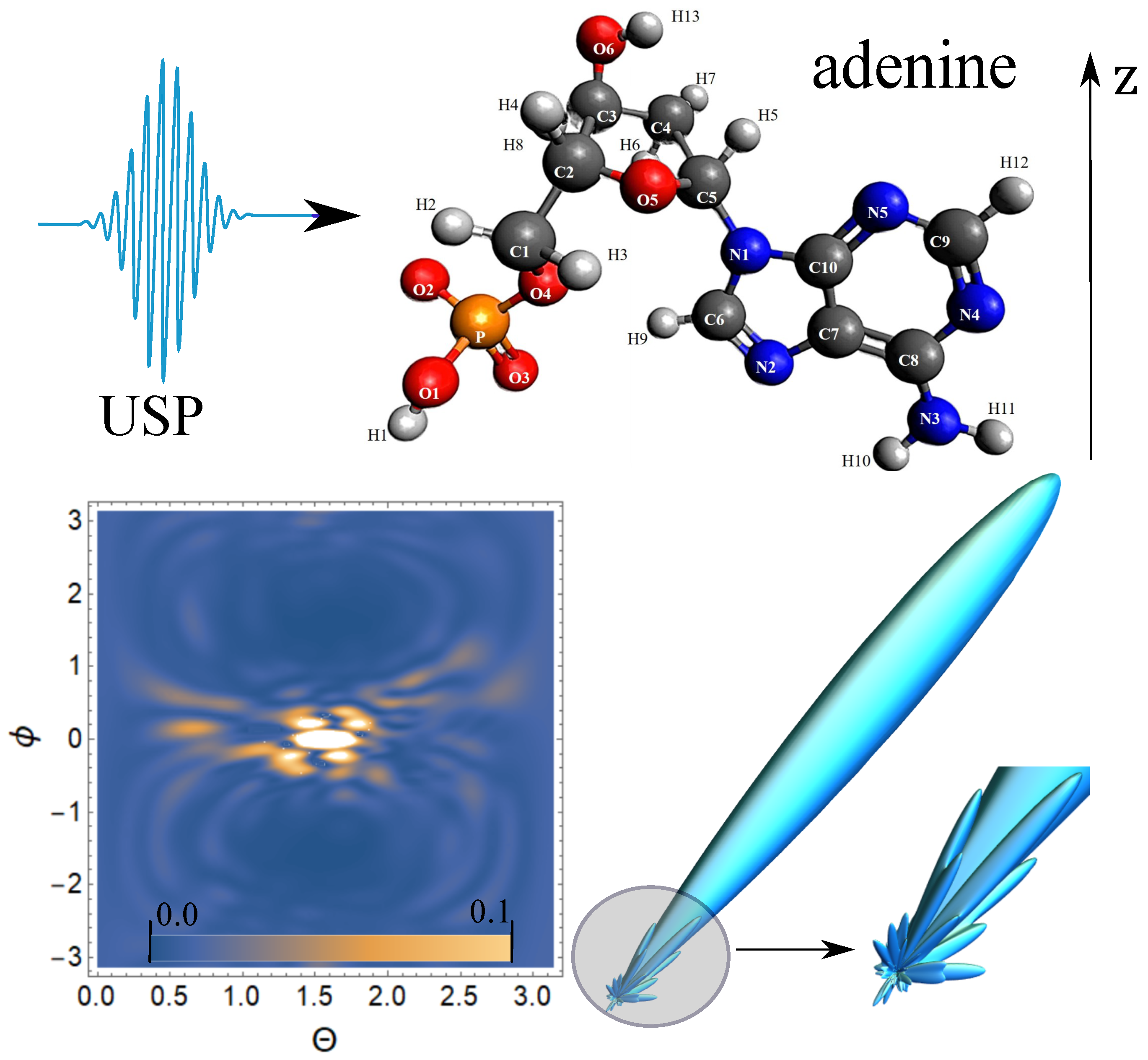 Ijms 23 00163 g002 550