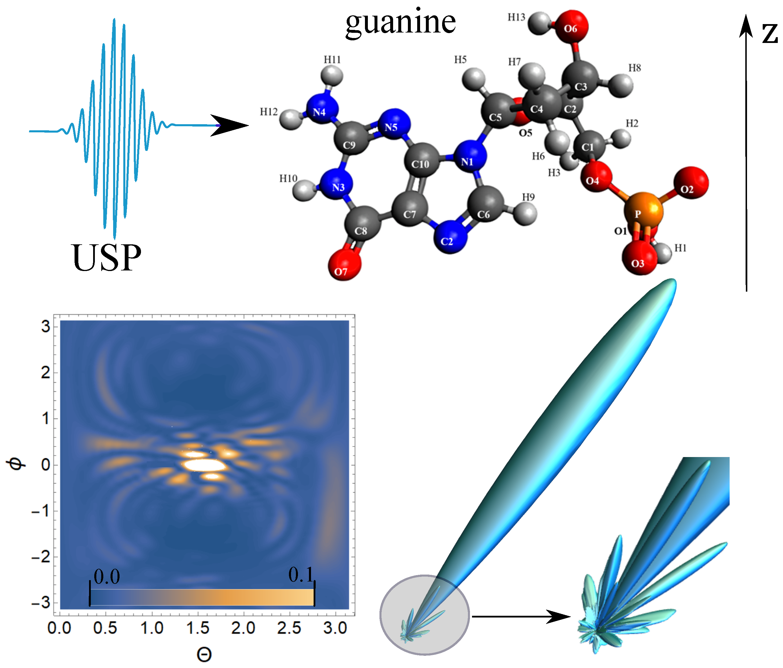 Ijms 23 00163 g003 550