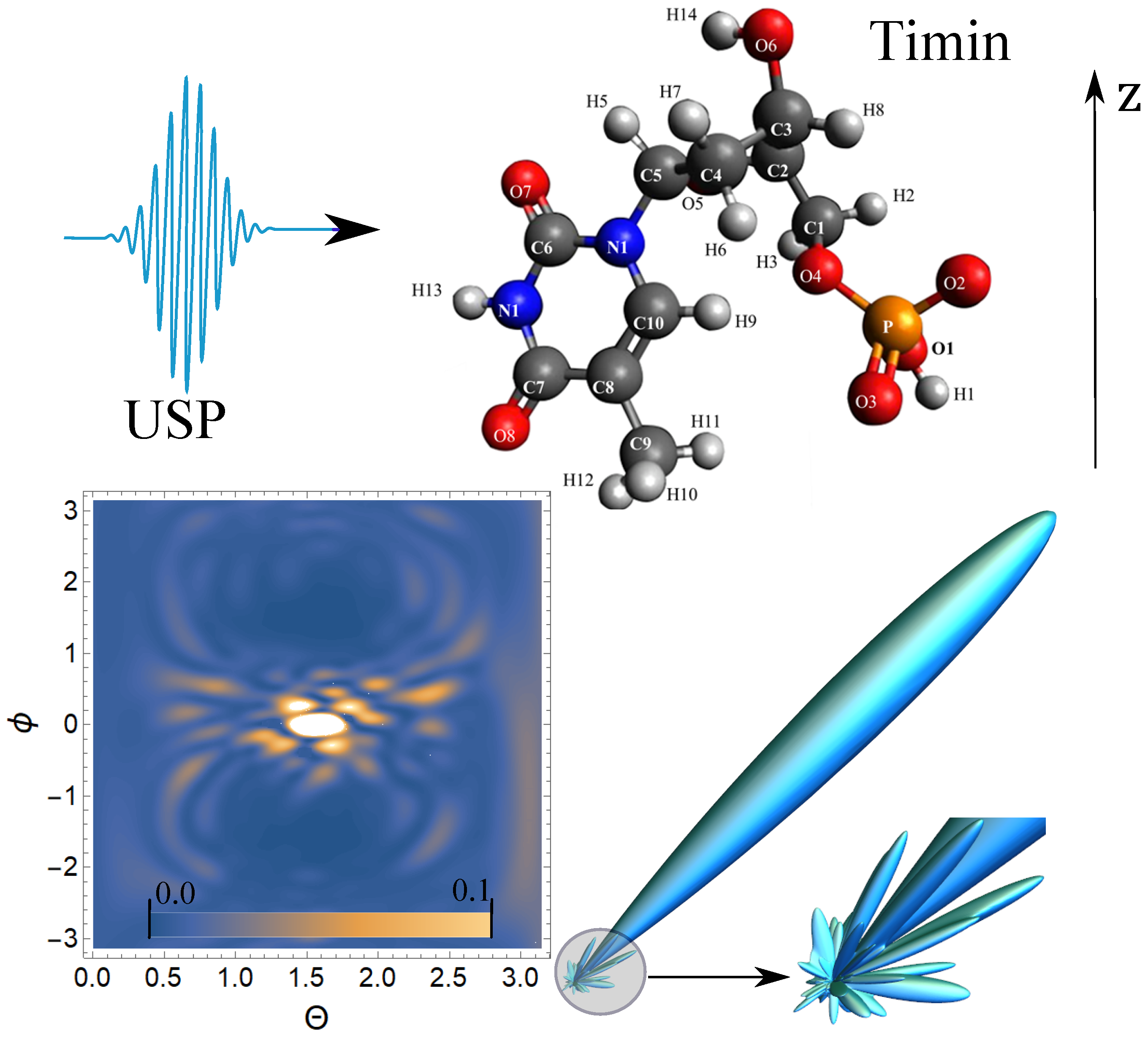 Ijms 23 00163 g004 550