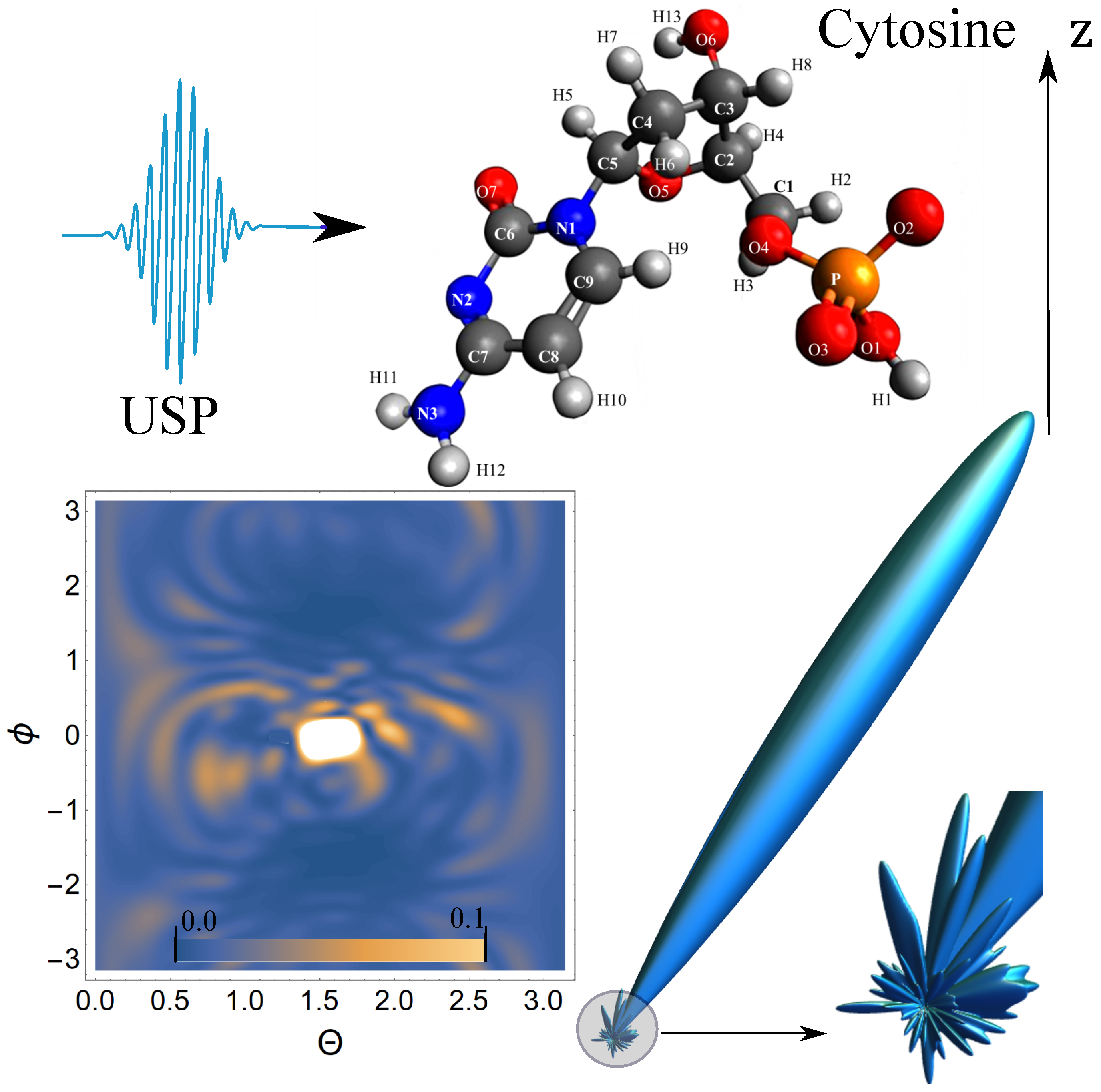 Ijms 23 00163 g005 550