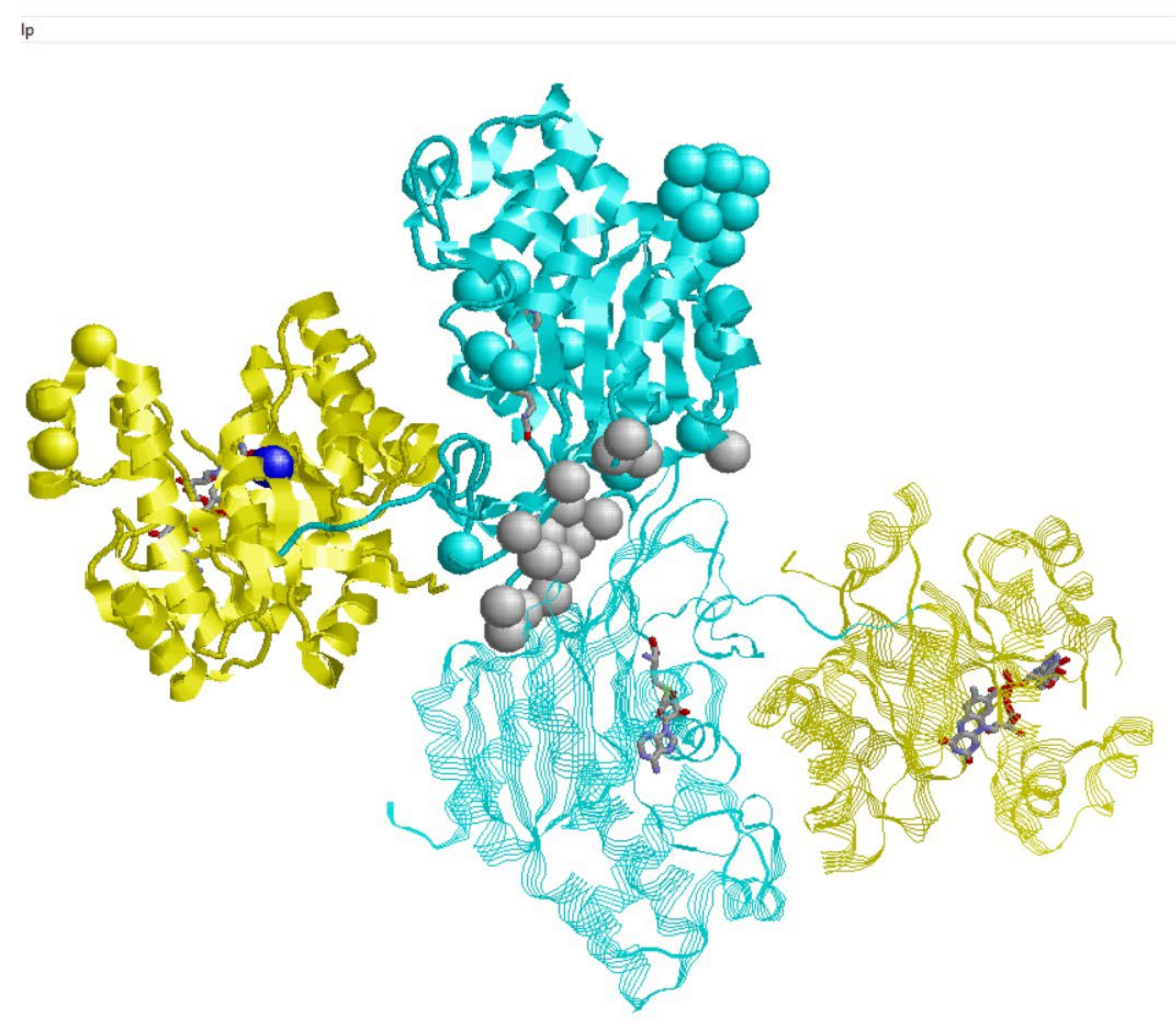 Ijms 23 00167 g001 550