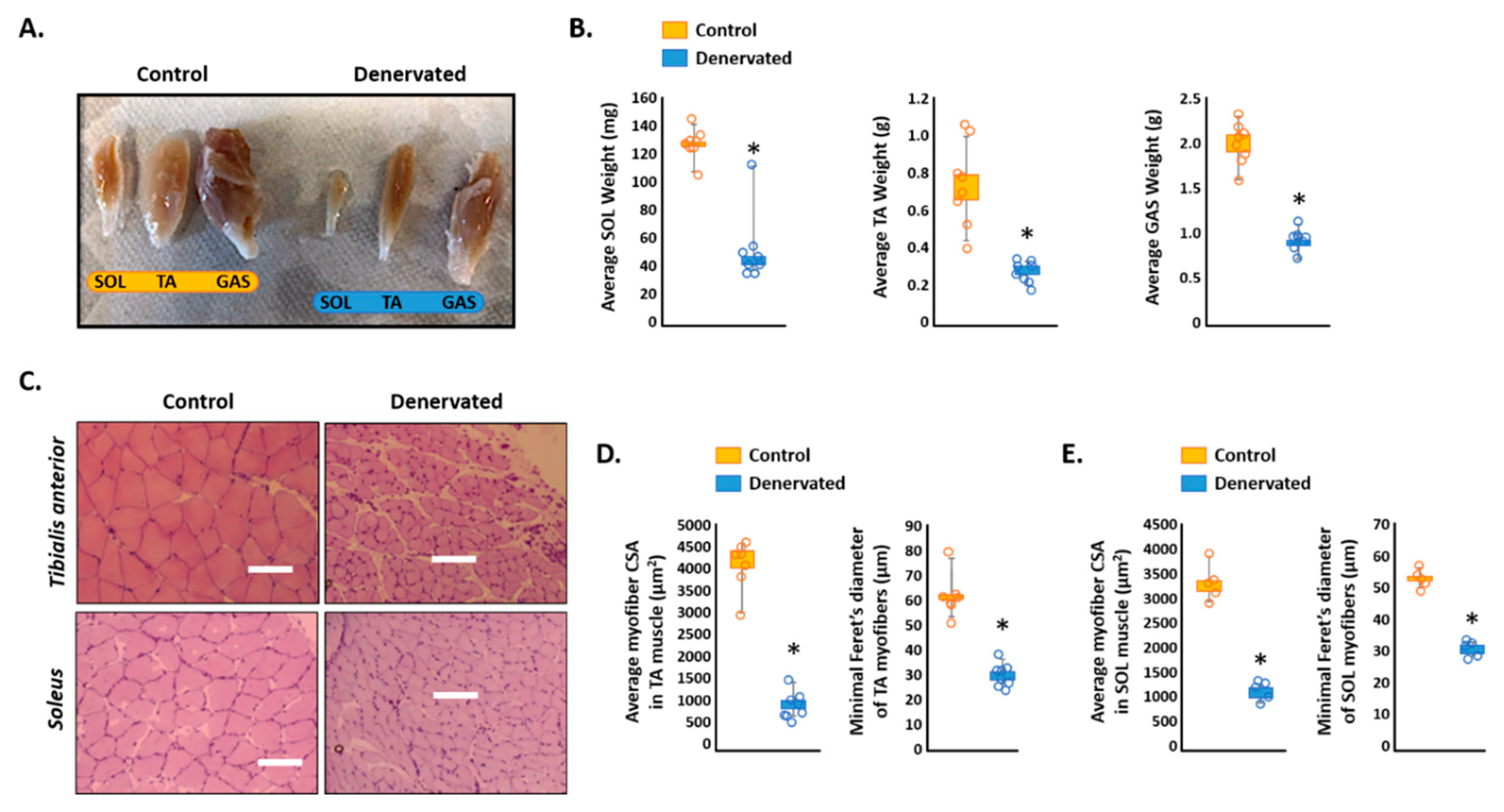 Ijms 23 00169 g001 550