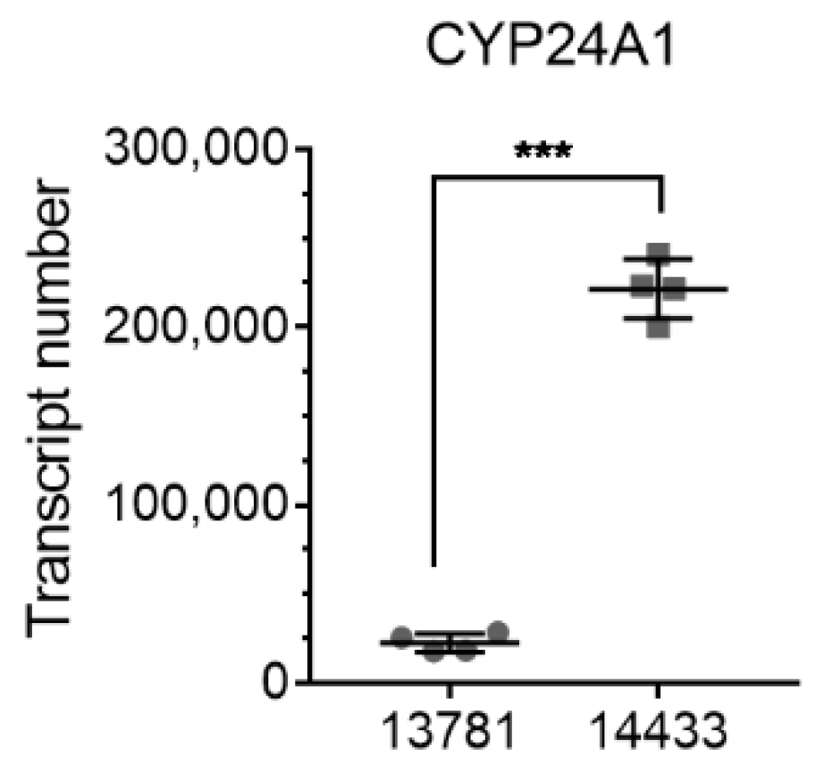Ijms 23 00172 g002 Ijms 23 00172 g002