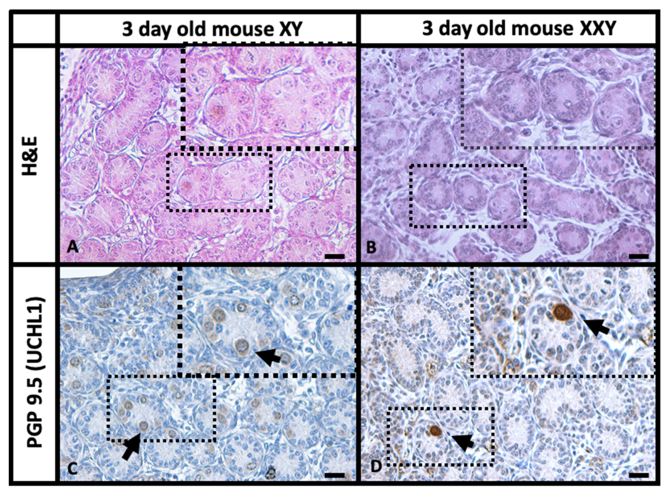 Ijms 23 00173 g001 Ijms 23 00173 g001