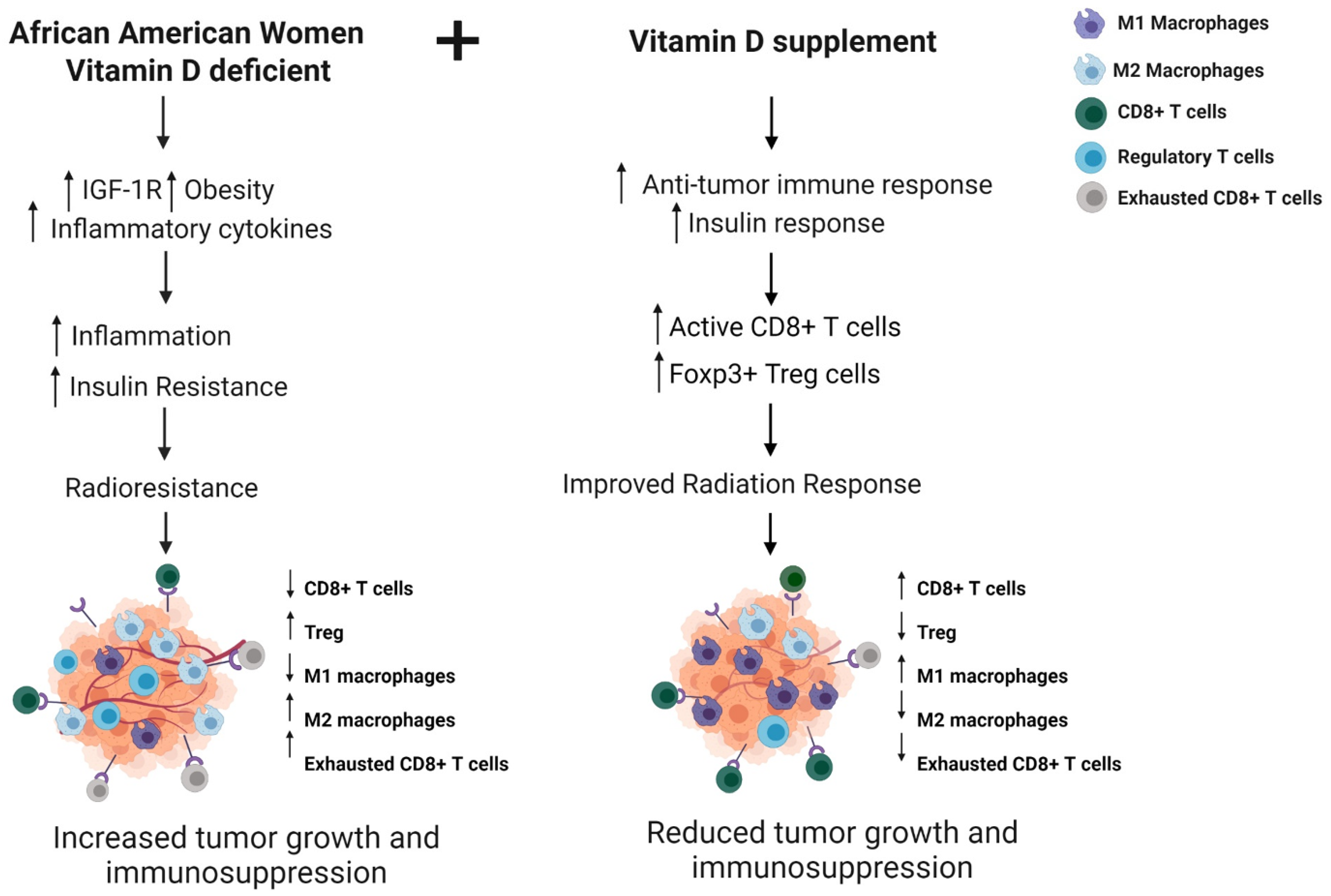 Ijms 23 00175 g001 Ijms 23 00175 g001