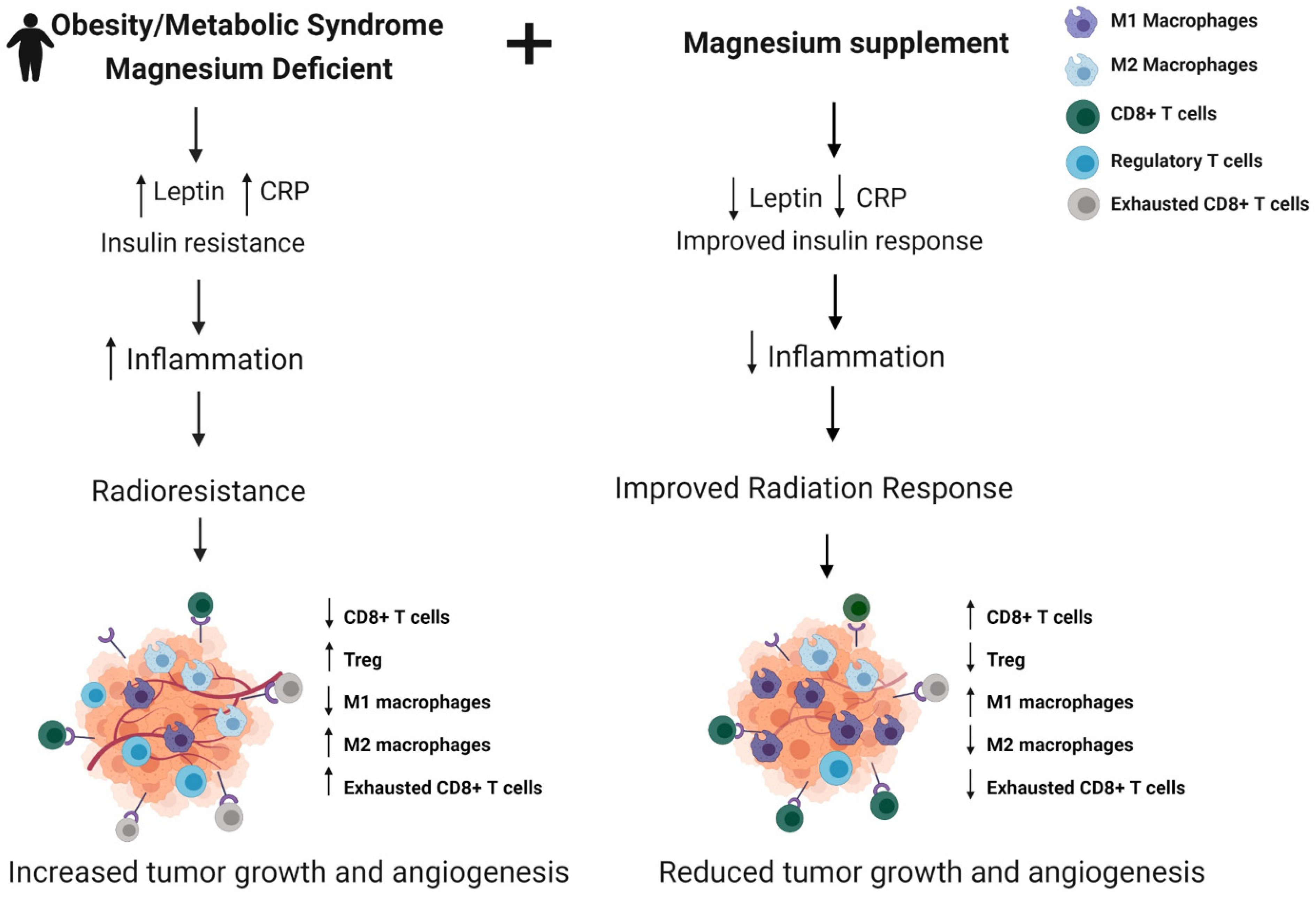 Ijms 23 00175 g002 Ijms 23 00175 g002
