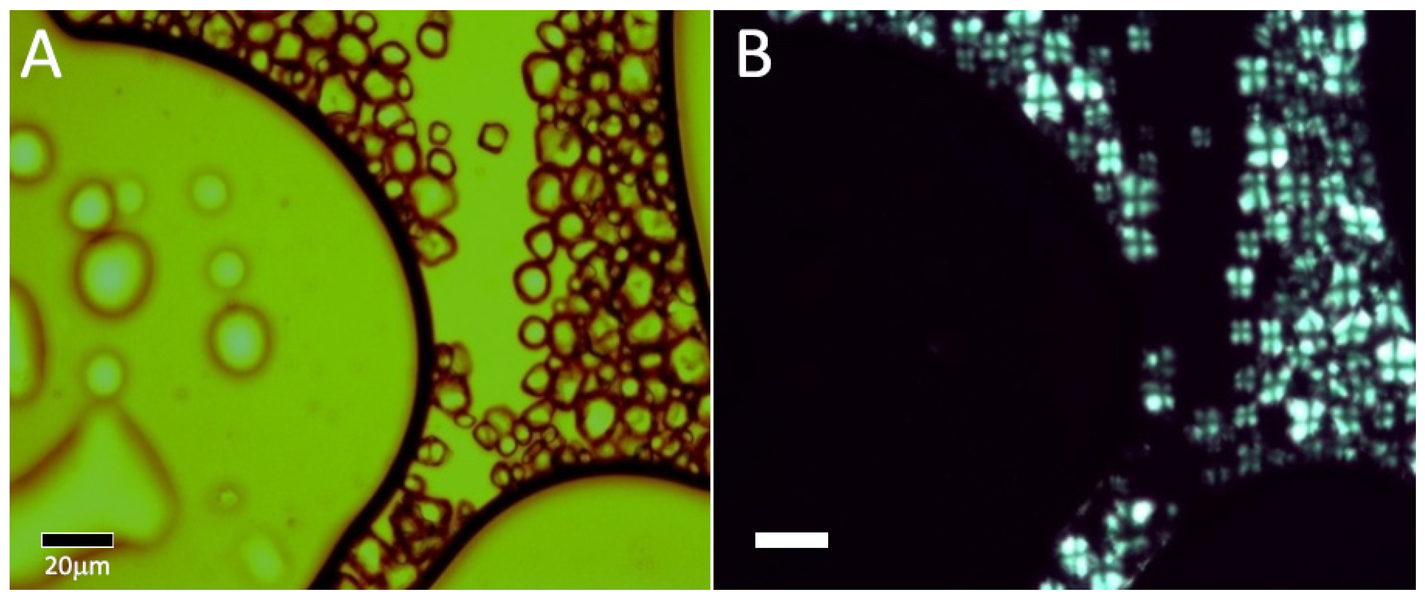 Ijms 23 00178 g001 550